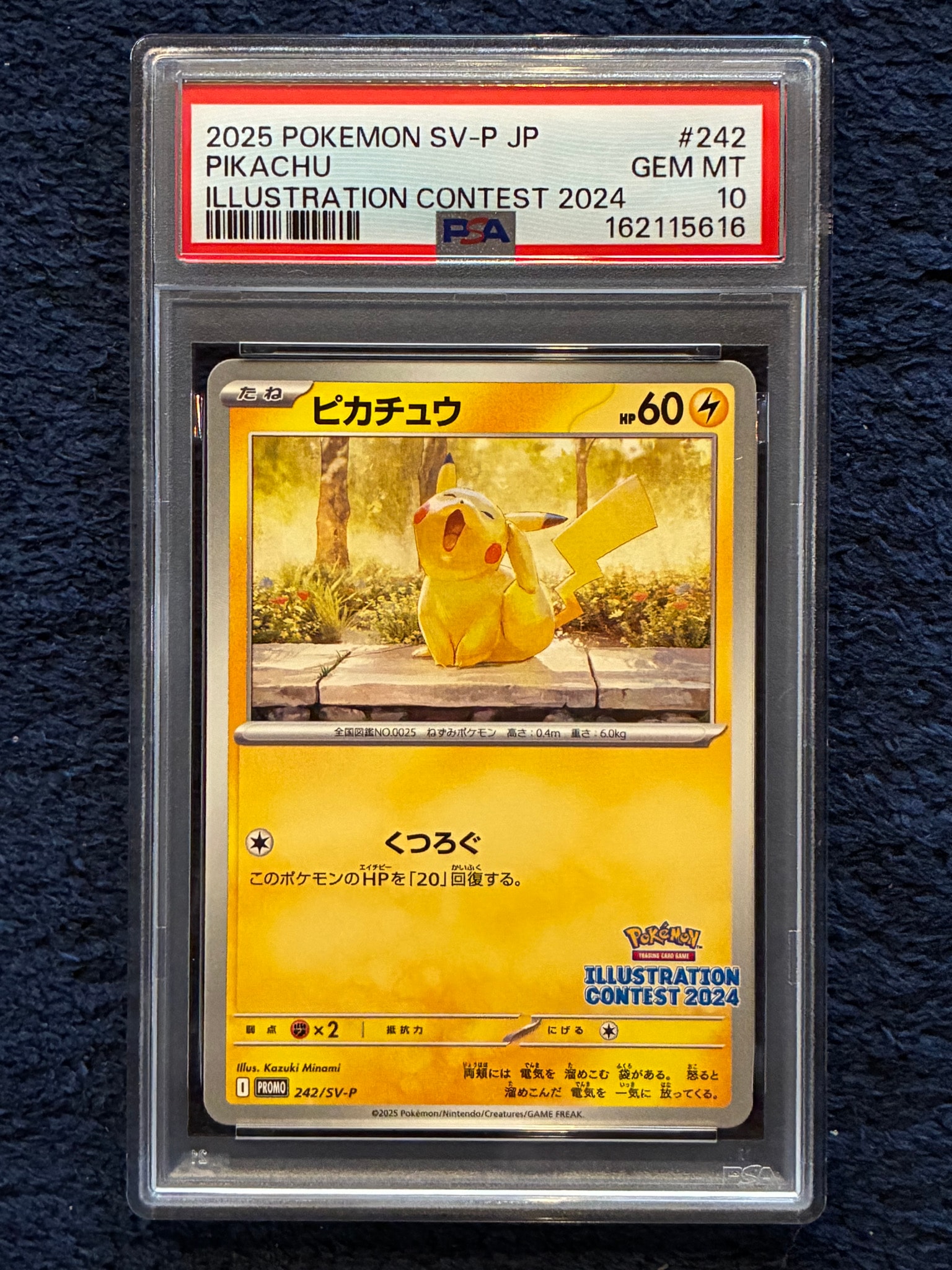 【PSA10】ピカチュウ プロモ イラストレーションコンテスト/Pikachu PSA10】ピカチュウ [SV-P 242](プロモカードパック