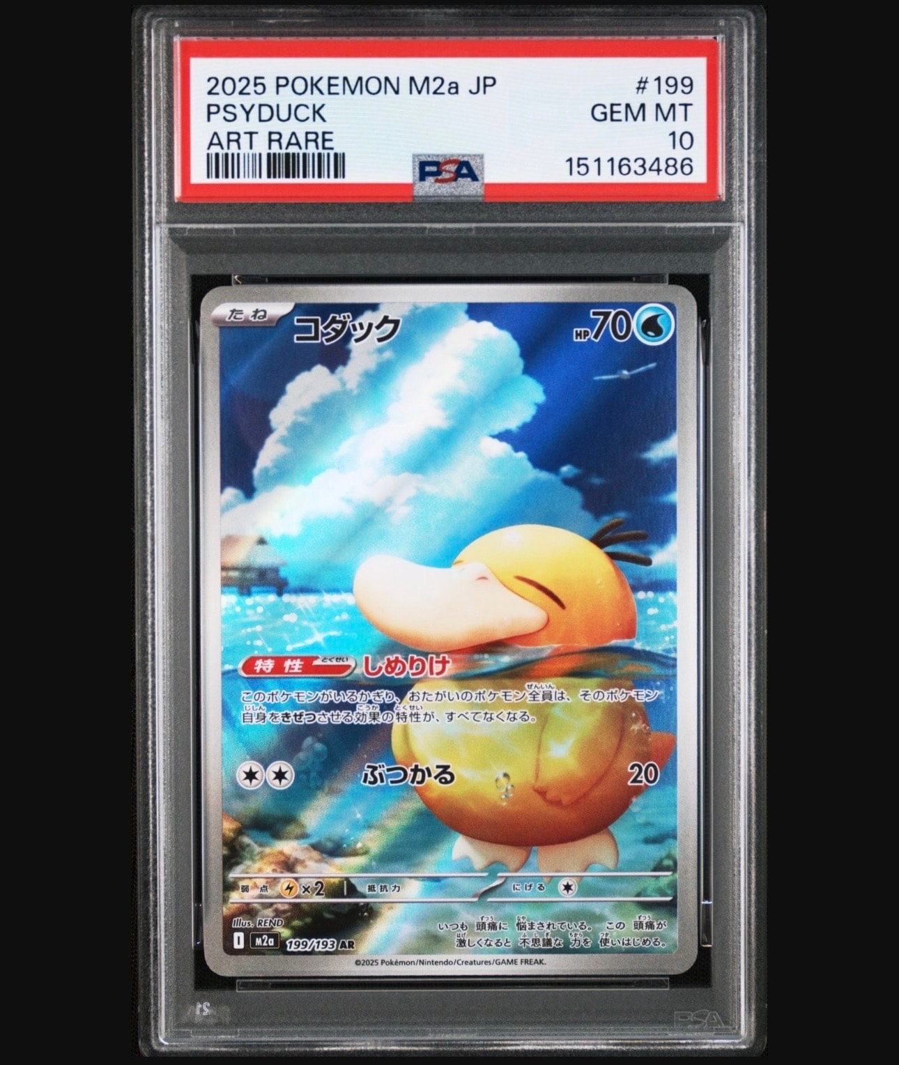 コダック AR [M2a 199/193](ハイクラスパック「MEGAドリームex」)