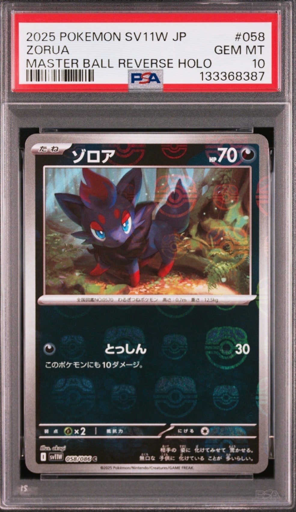 ゾロア C :マスターボールミラー [SV11W 058/086](拡張パック「ホワイトフレア」)