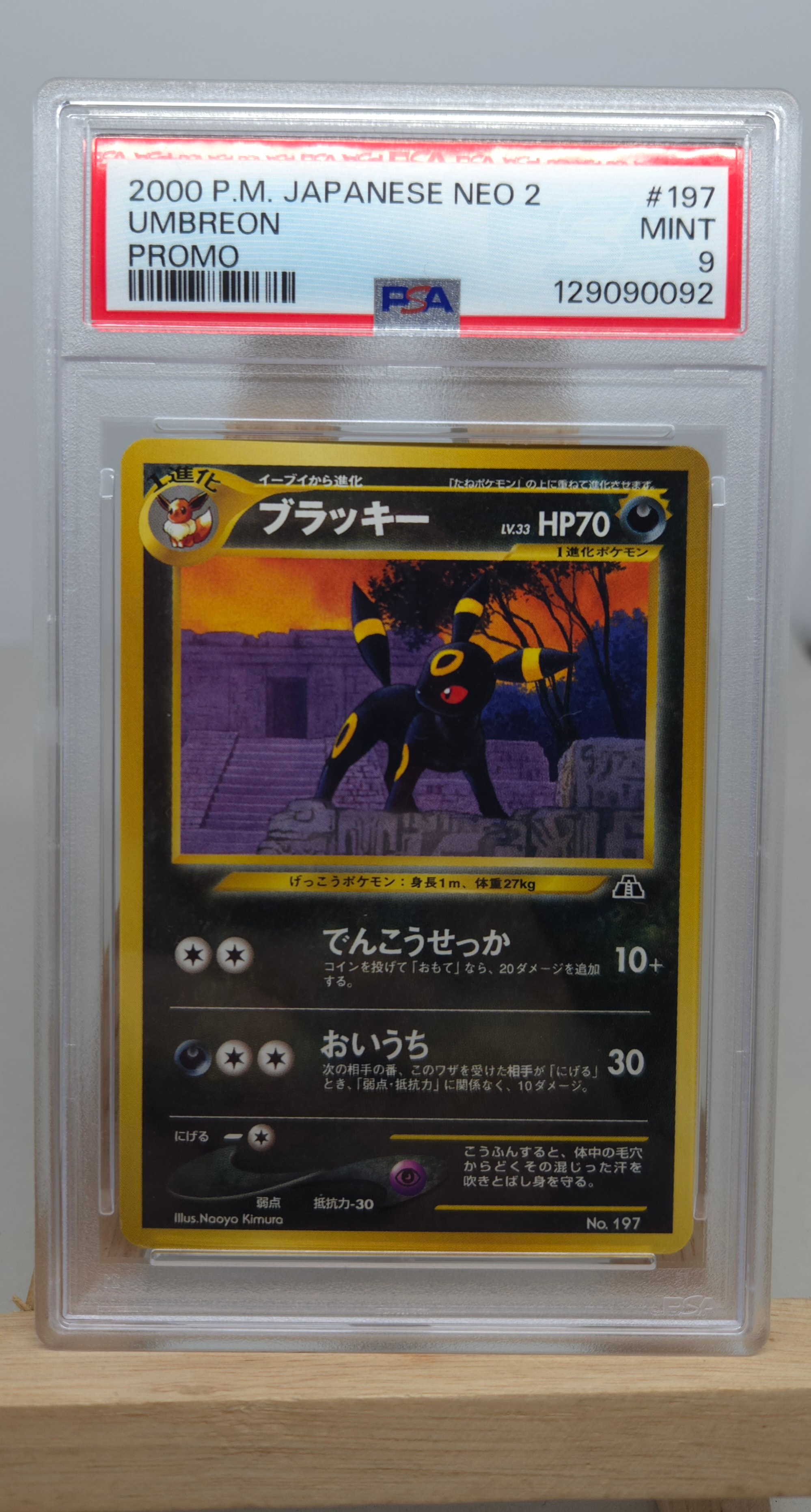 ブラッキー_プレミアムファイル2 PROMO 第2世代(☆neo・☆VS・☆w ブラッキー_プレミアムファイル2 PROMO 第2世代(☆neo・☆VS・☆w
