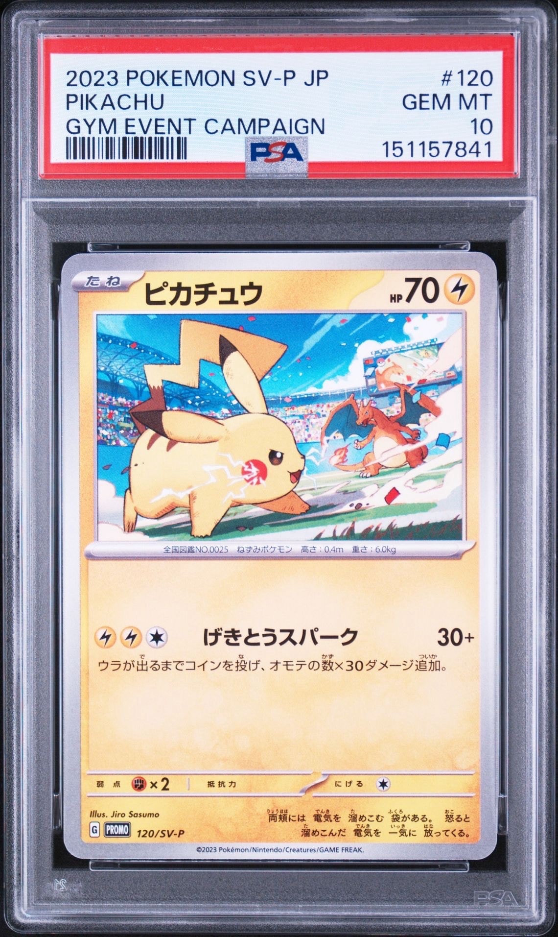ピカチュウ: プロモ [SV-P 120](プロモーションカード「SV-P」)の新品