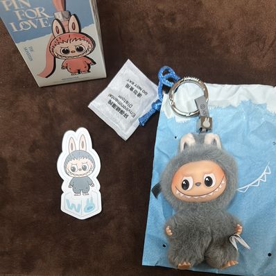 POP MART THE MONSTERS (LABUBU) Pin for Love Series-Vinyl Plush Pendant (N-Z) W