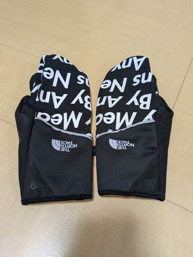 Supreme The North Face By Any Means Winter Runners Gloves "Black"