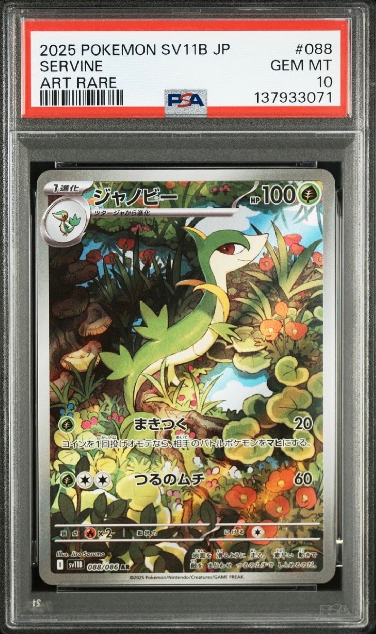 ジャノビー AR [SV11B 088/086](拡張パック「ブラックボルト」)