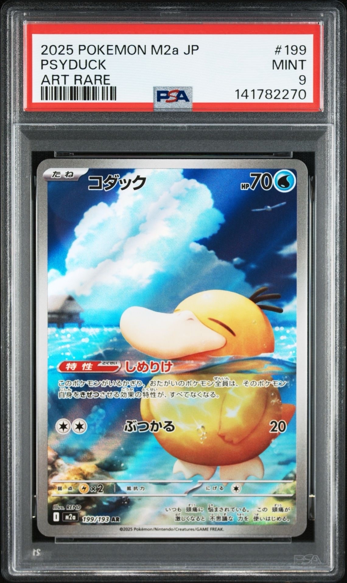 コダック AR [M2a 199/193](ハイクラスパック「MEGAドリームex」)