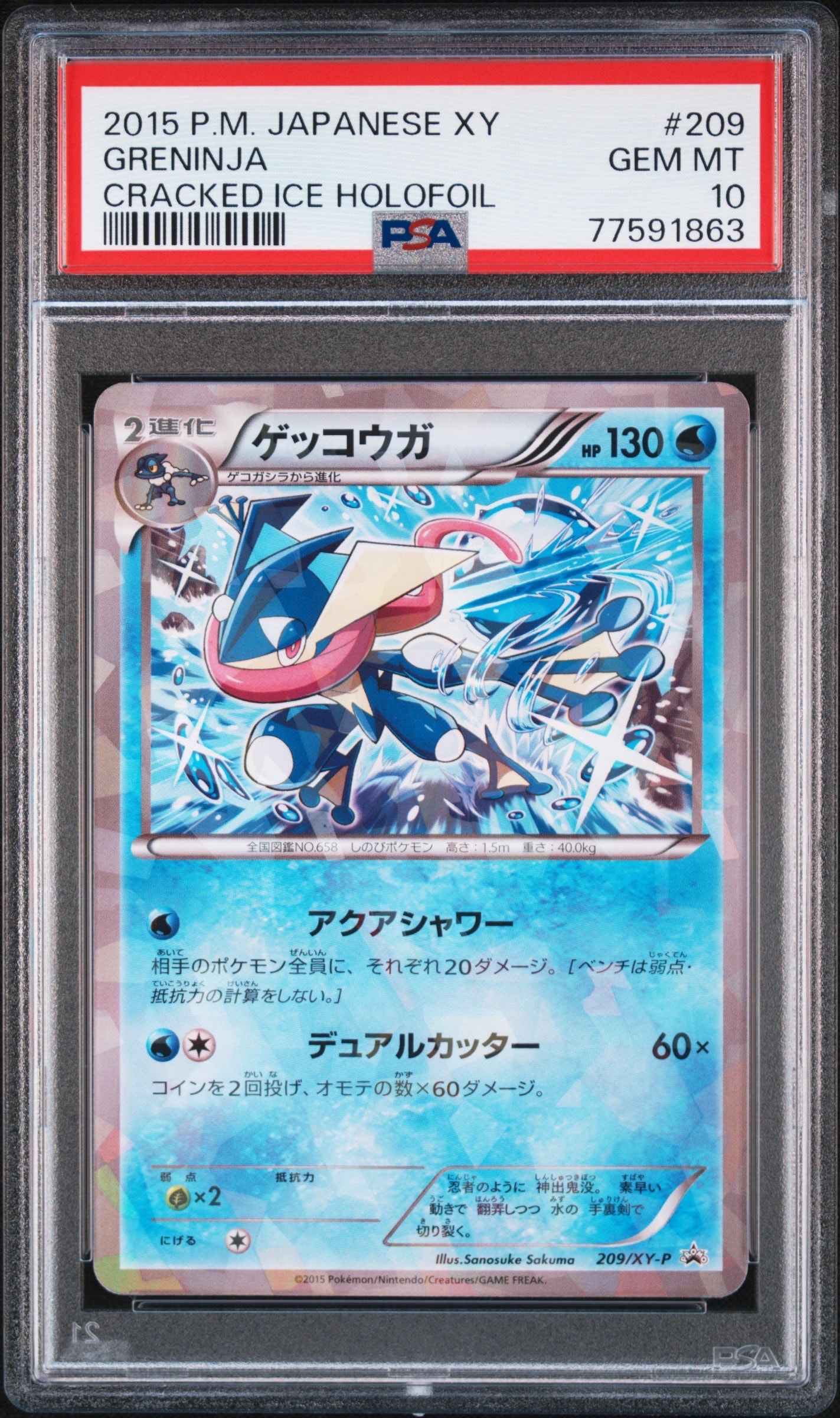 ゲッコウガ P [XY-P 209](プロモーションカード「ファミリーマート プレゼントキャンペーン オリジナルカード」)