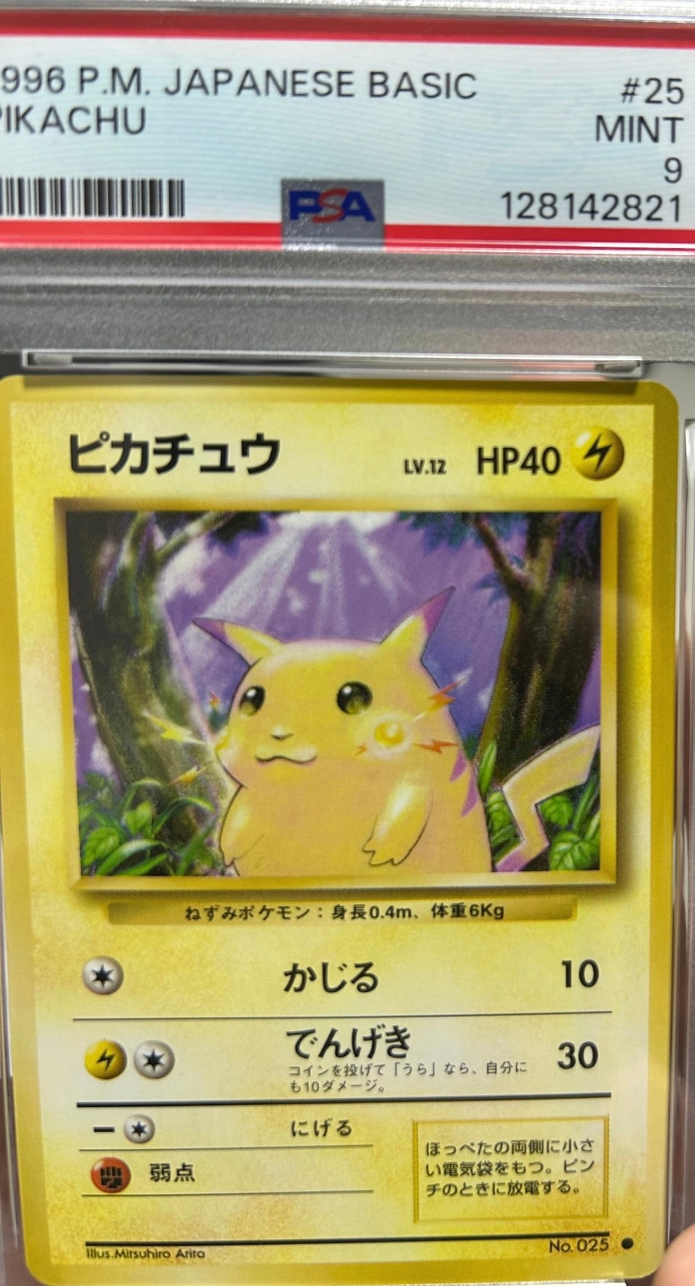 ピカチュウ ● : 旧裏 [PMCG1-2](拡張パック「ポケットモンスター カードゲーム」再販)