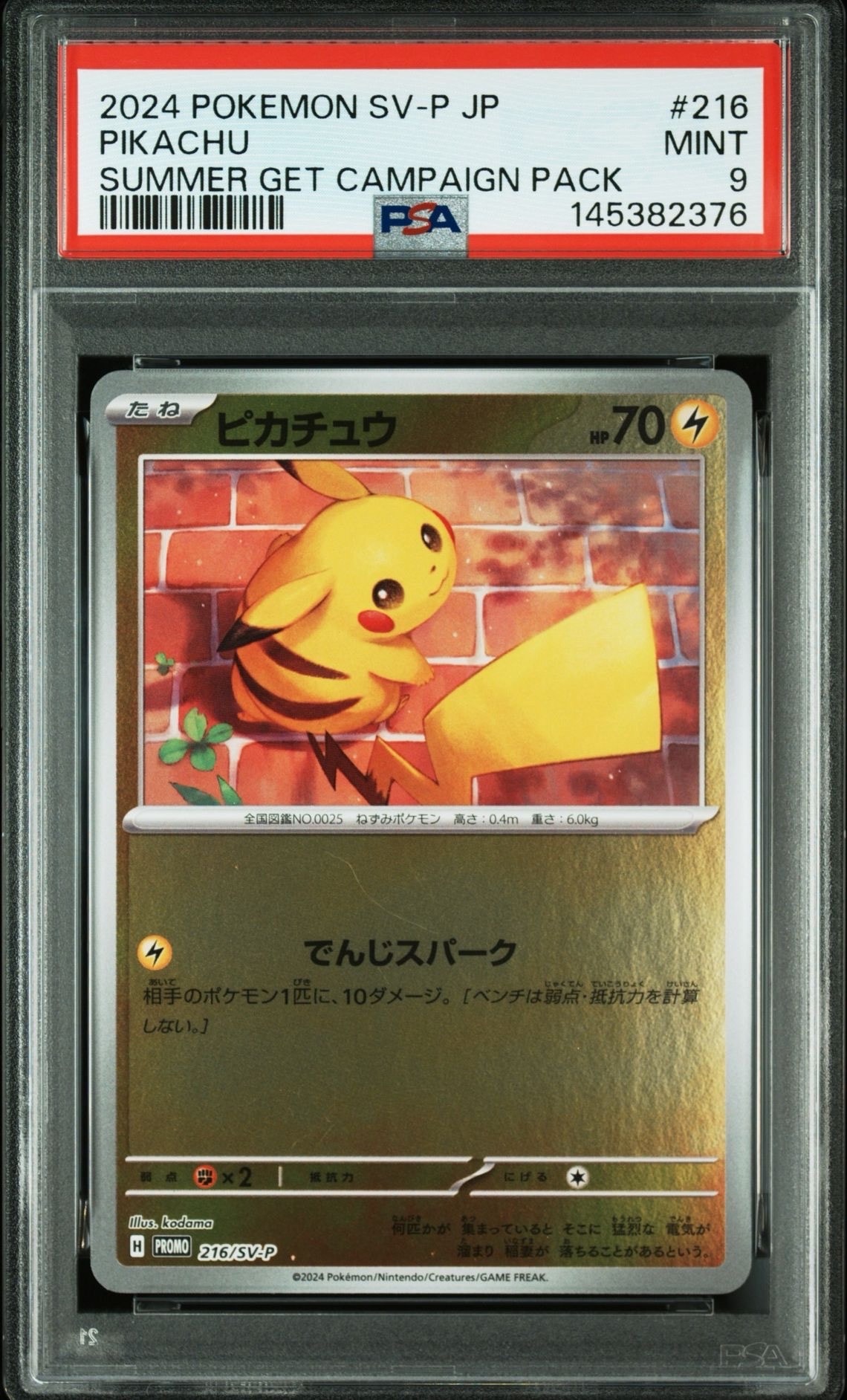 ピカチュウ P [SV-P 216](プロモカードパック「ポケカの夏がキタ!プロモカードGetキャンペーン!」)