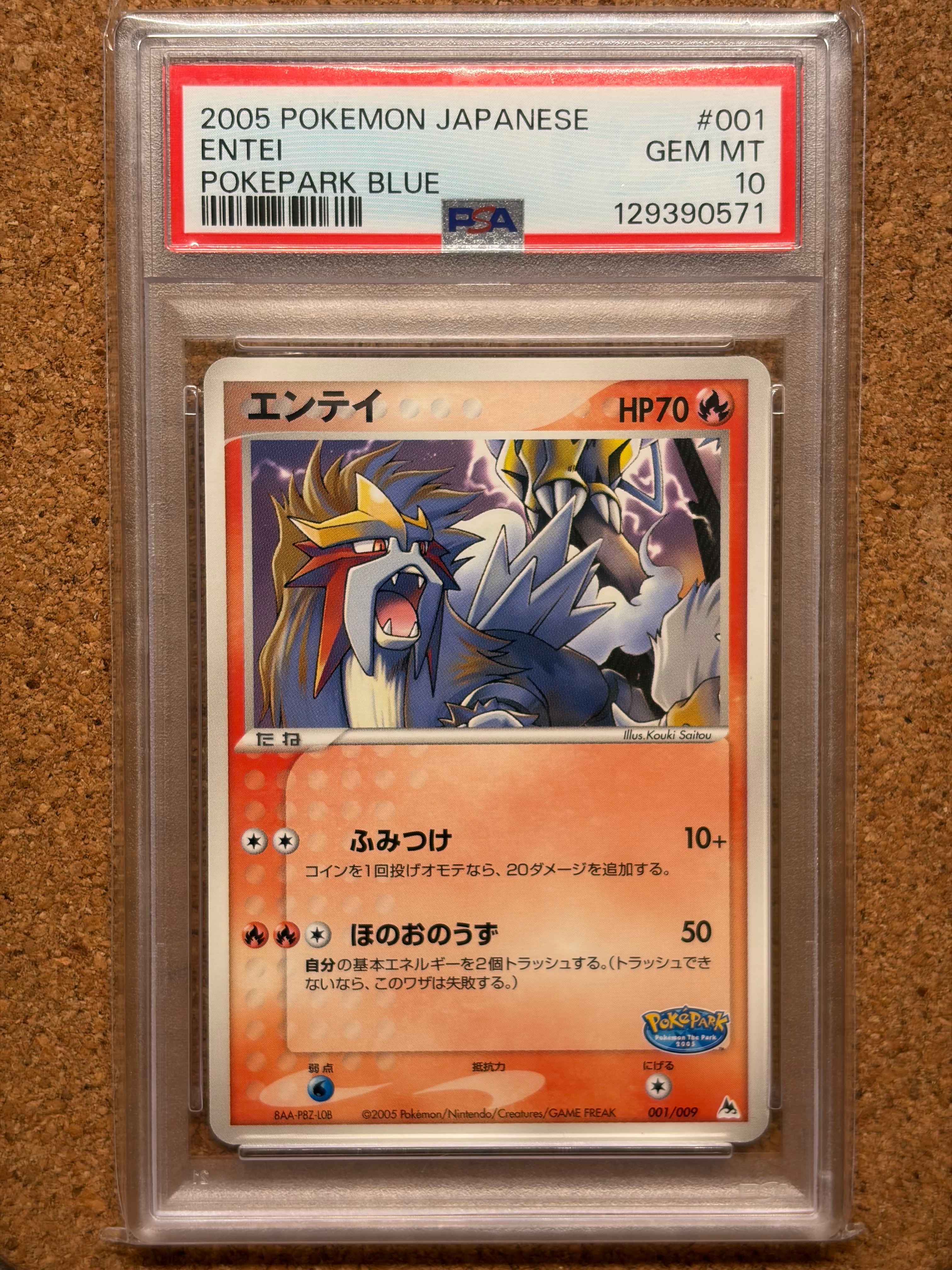 エンテイ [PCG 001/009](ポケパークプレミアムファイル「ブルーシート」)