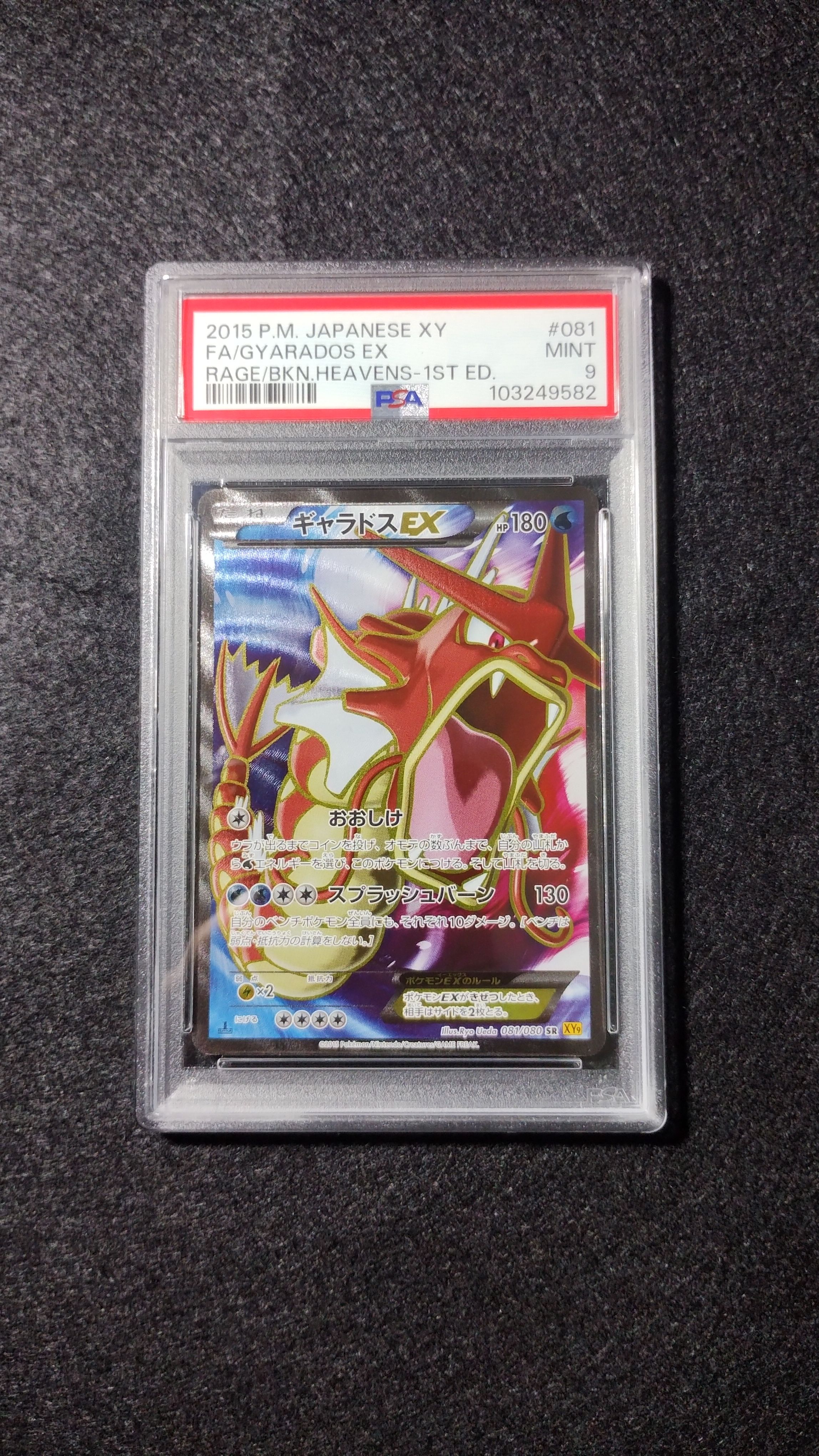 ギャラドスEX SR [XY9 081/080](拡張パック「破天の怒り」)の新品/中古