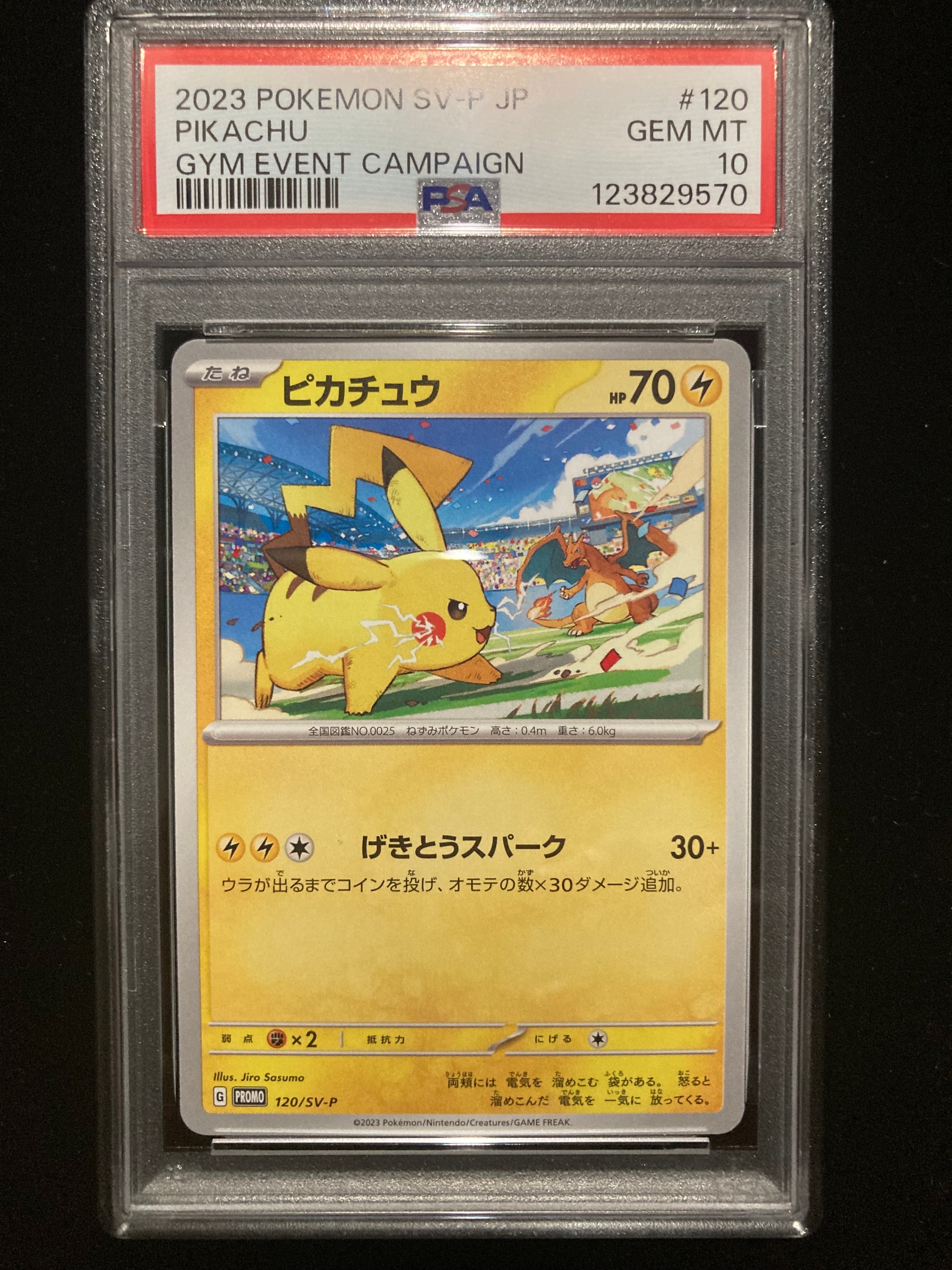 ピカチュウ: プロモ [SV-P 120](プロモーションカード「SV-P」)