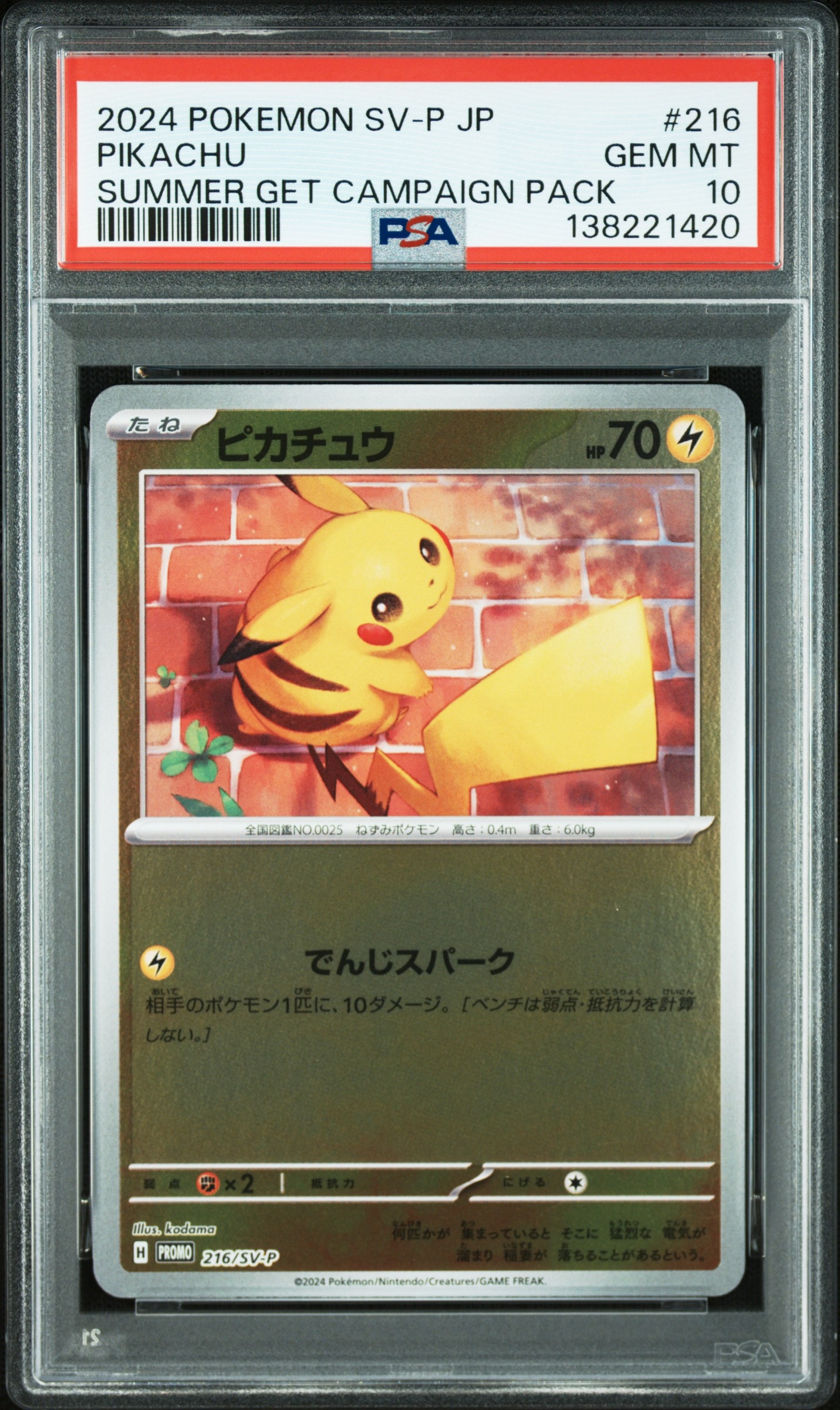 ピカチュウ P [SV-P 216](プロモカードパック「ポケカの夏がキタ!プロモカードGetキャンペーン!」)