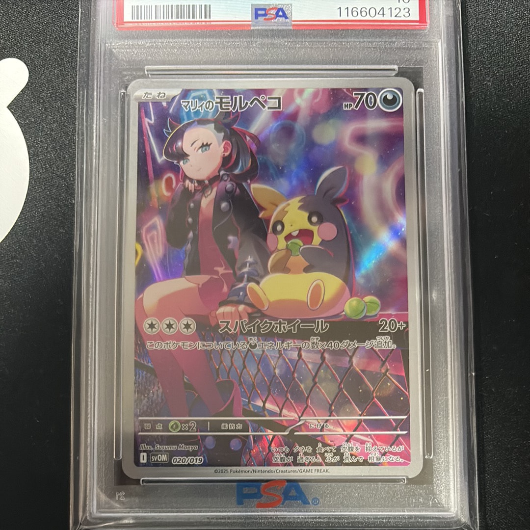 PSA10】マリィのモルペコ [SVOM 020/019](スターターセットex「マリィ
