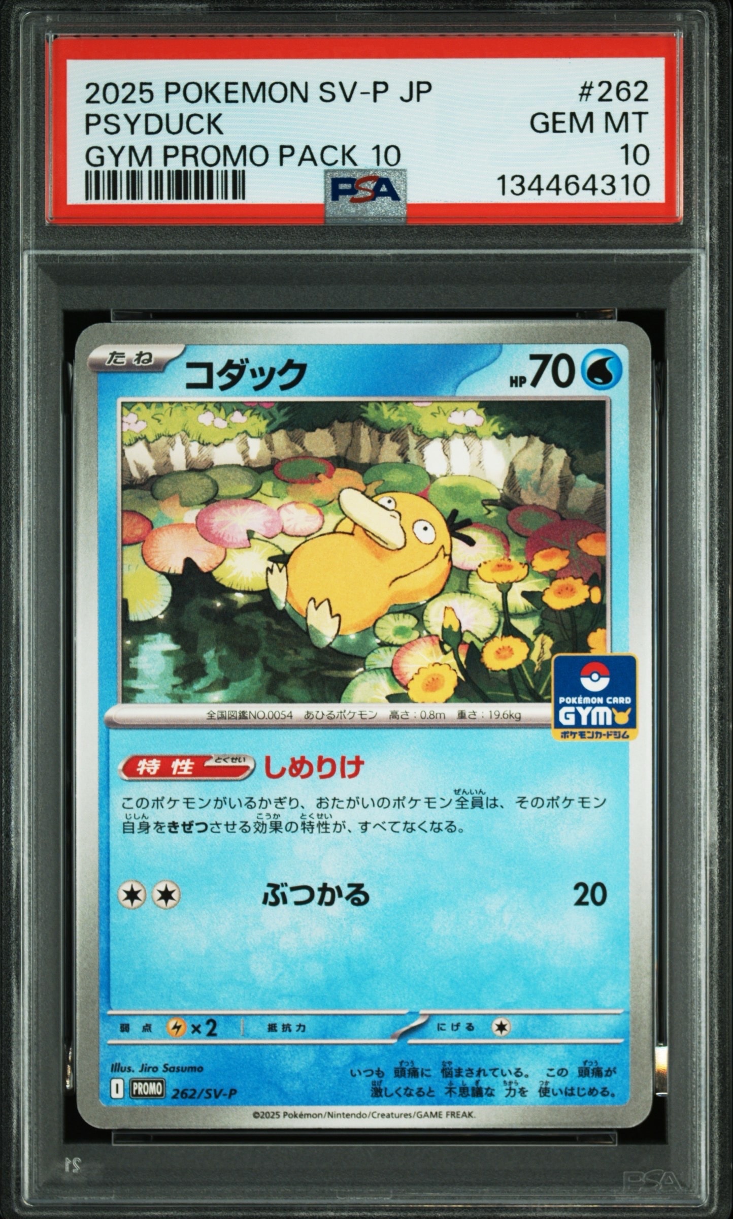 コダック P [SV-P 262](プロモカードパック「第10弾」)