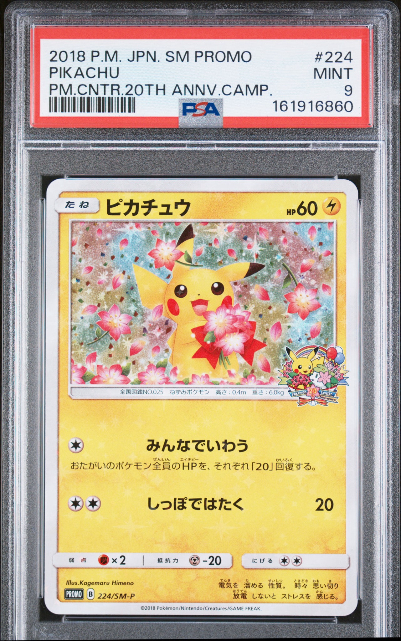 ピカチュウ: プロモ[SM-P 224](プロモーションカード「SM-P」)通販