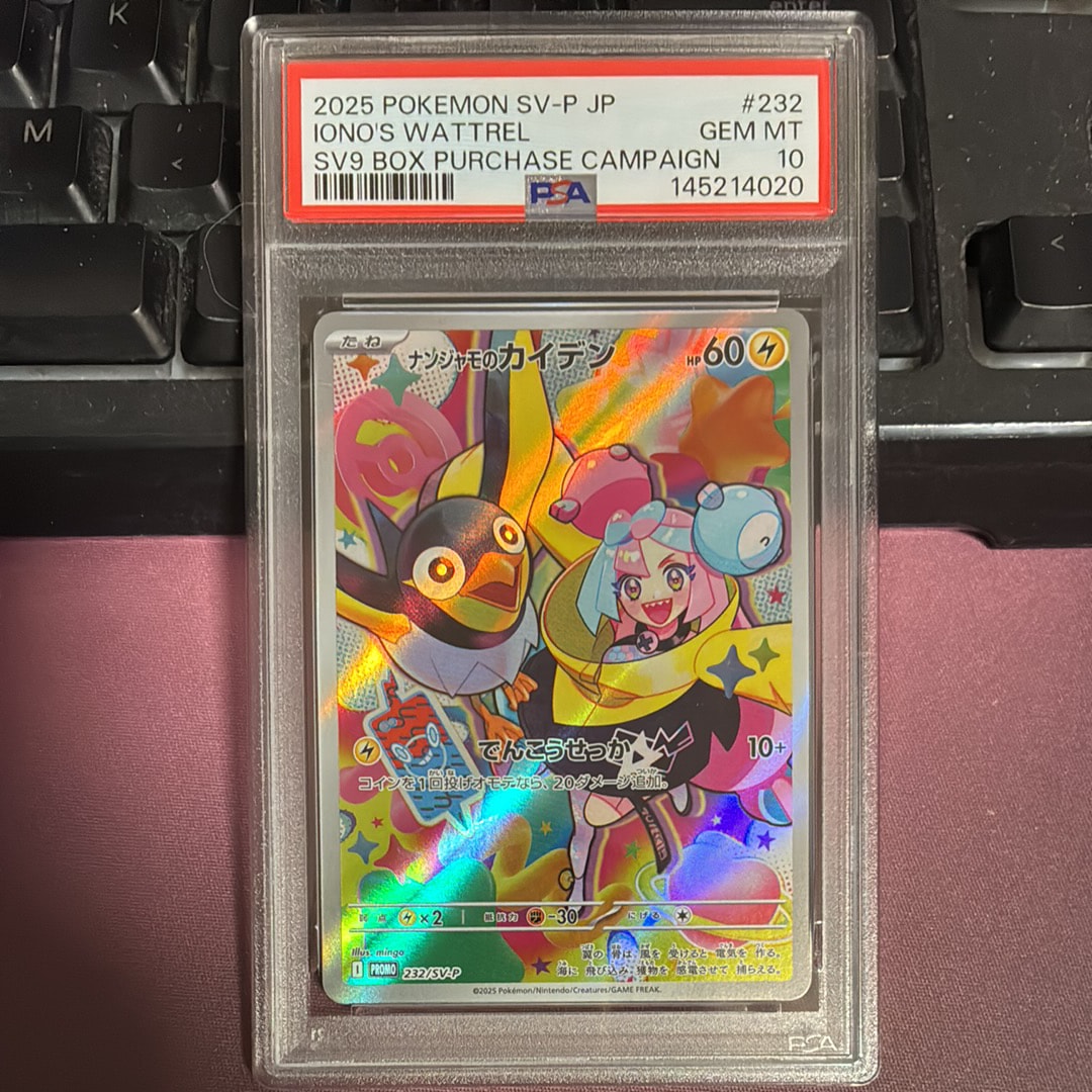 カビゴン U :1ED [XY2 066/080](拡張パック「ワイルドブレイズ」)の