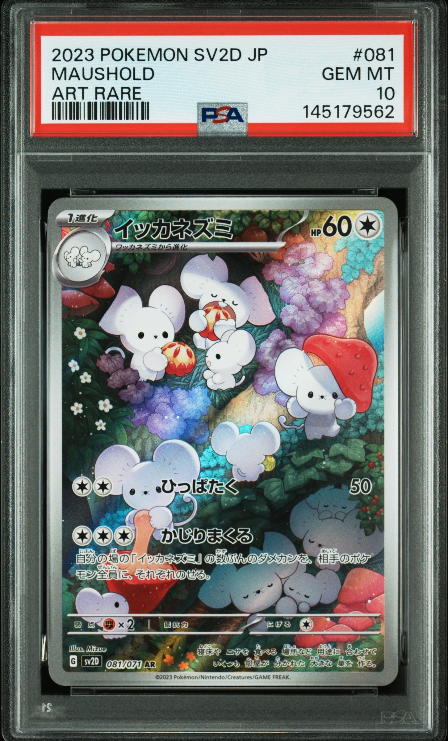 PSA10イッカネズミ AR[SV2D 081/071](クレイバースト イッカネズミ AR[SV2D 081/071](拡張パック「クレイバースト」)の新品
