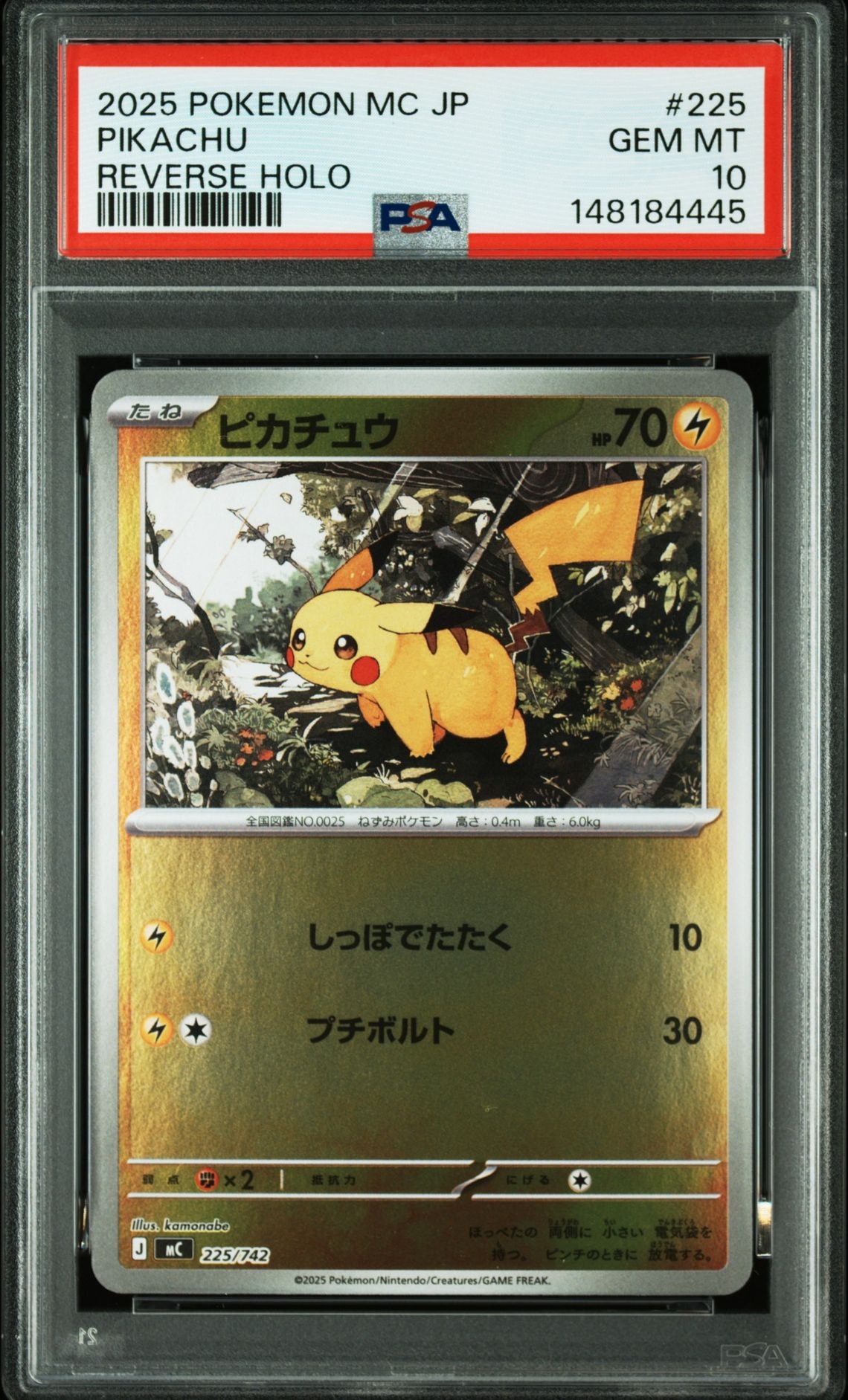 ピカチュウ : プロモ [SVP EN 085](「ゴッホ展」 プロモーションカード