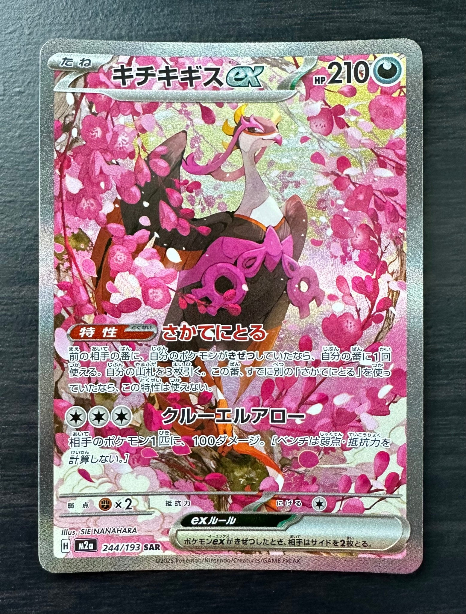 キチキギスex SAR [M2a 244/193](ハイクラスパック「MEGAドリームex