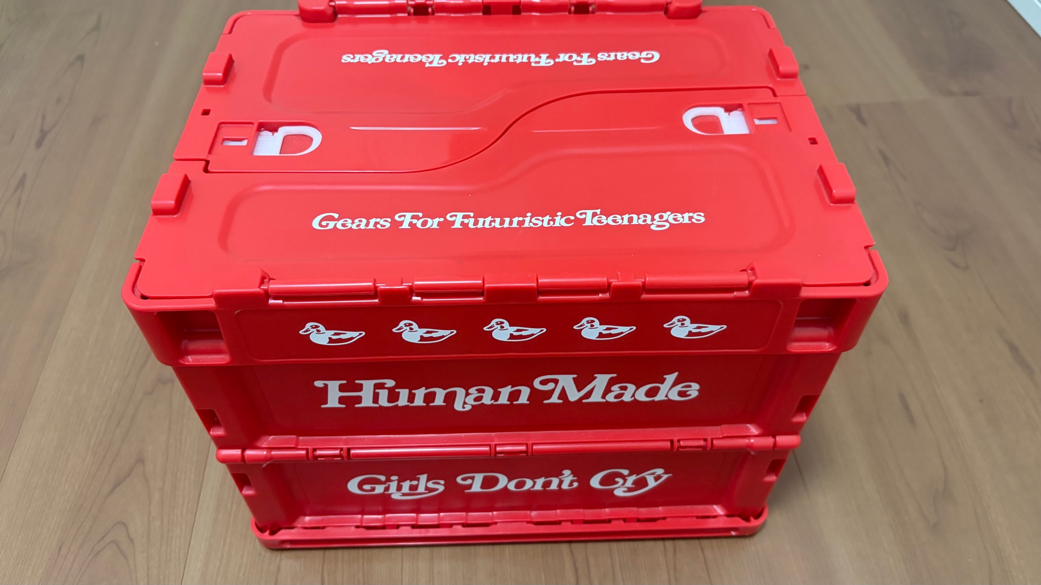 HUMAN MADE Girls Don ’t Cry Container case "Red" / VERDY