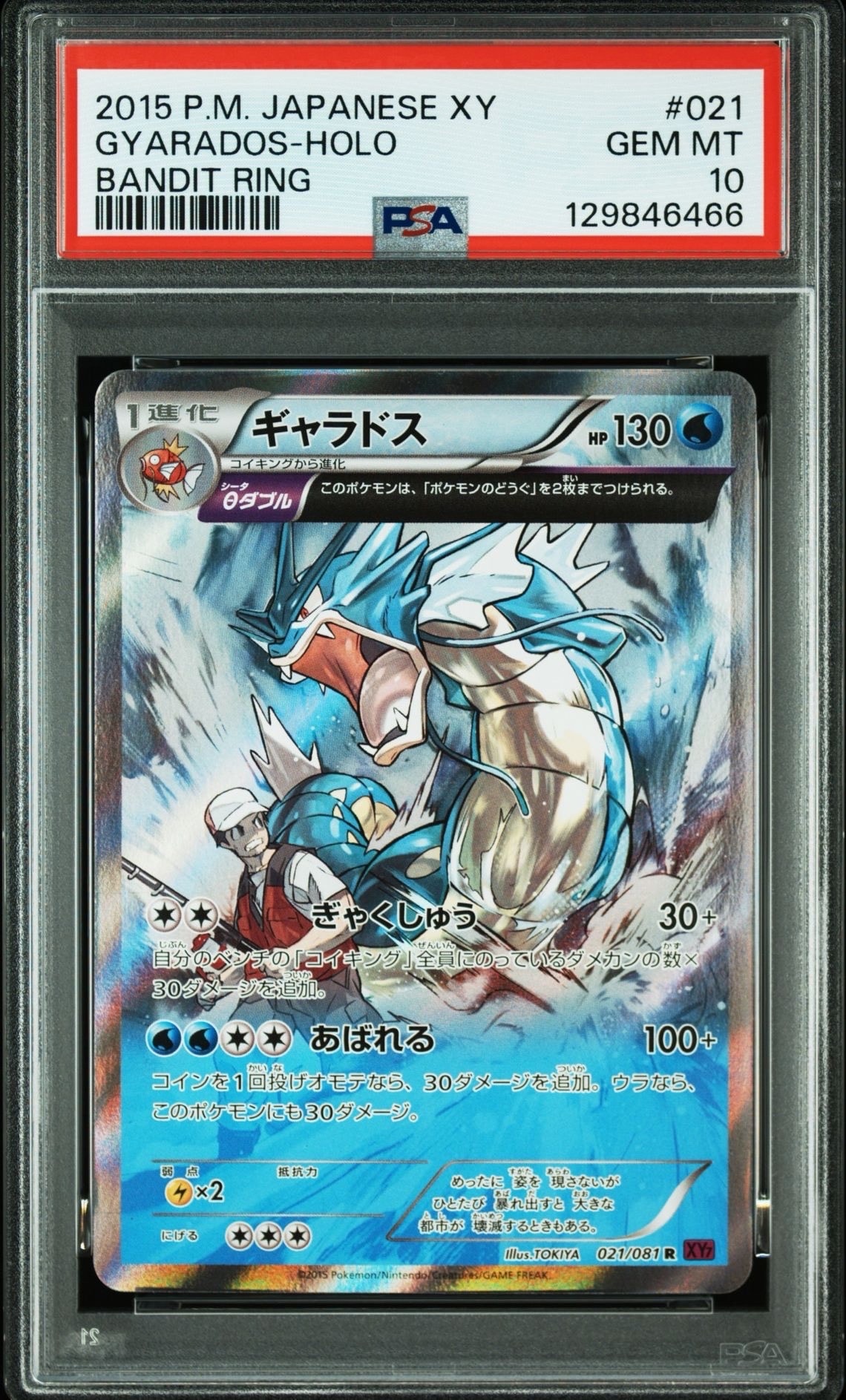 ギャラドス R [XY7 021/081](拡張パック「バンデットリング」)の新品