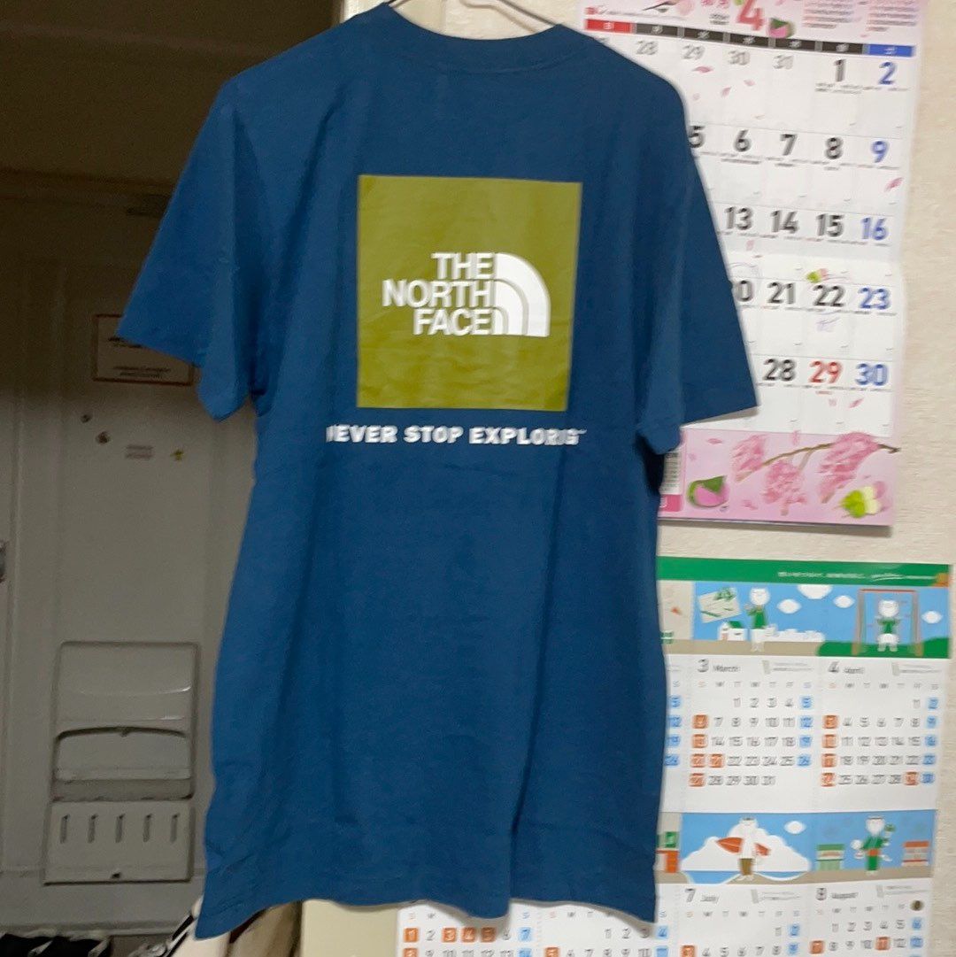 ザノースフエース Tシャツ