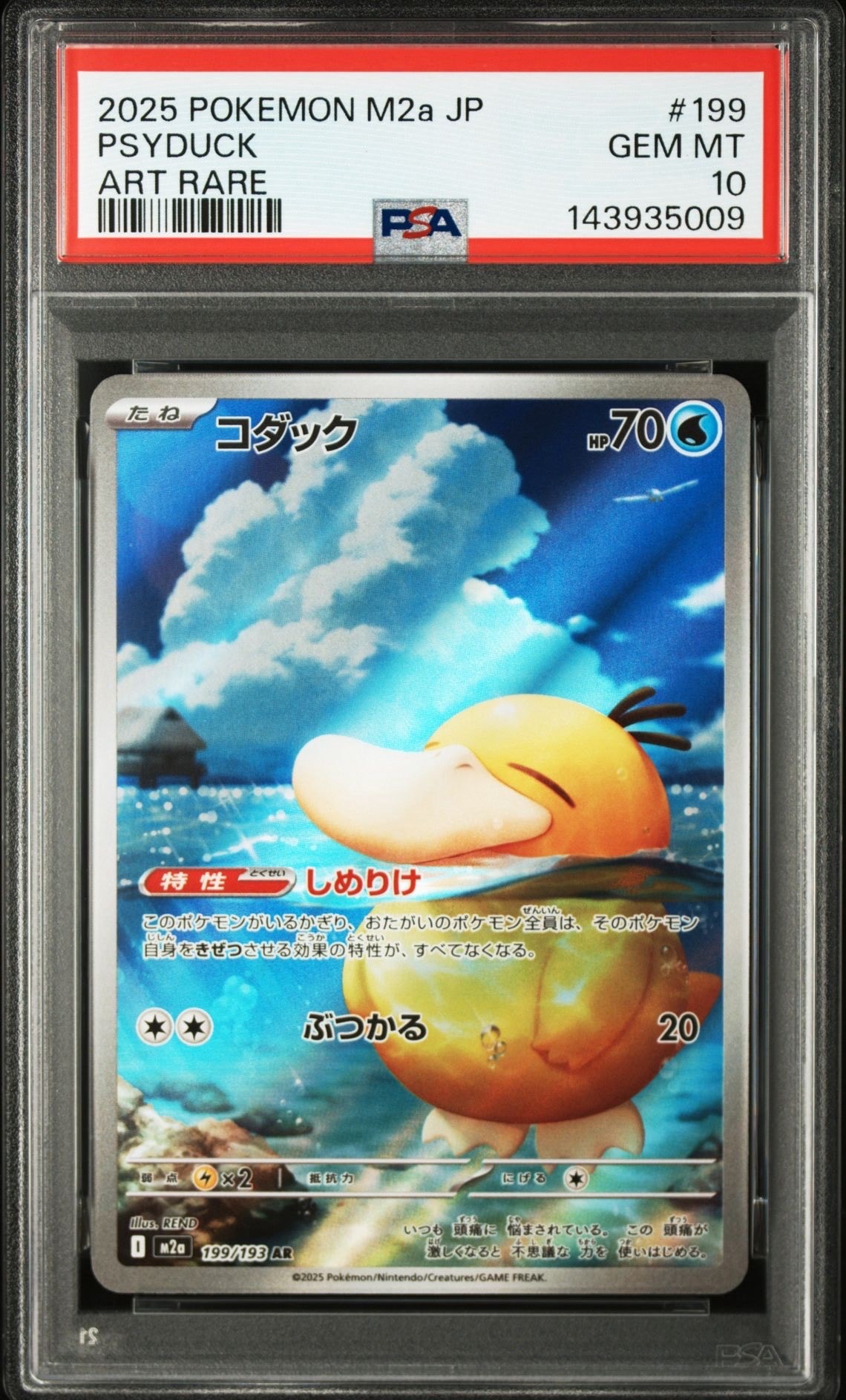 コダック AR [M2a 199/193](ハイクラスパック「MEGAドリームex」)