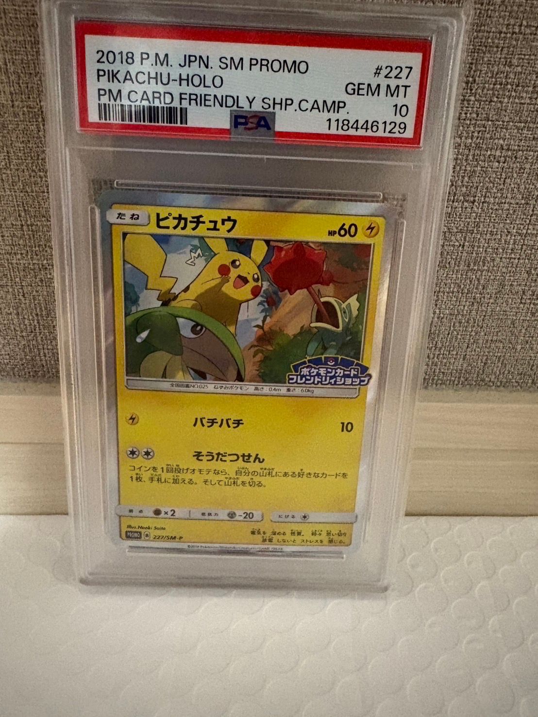 ピカチュウ P [SM-P 227](プロモーションカード「ポケモンカードフレンドリィショップ限定キャンペーン」)