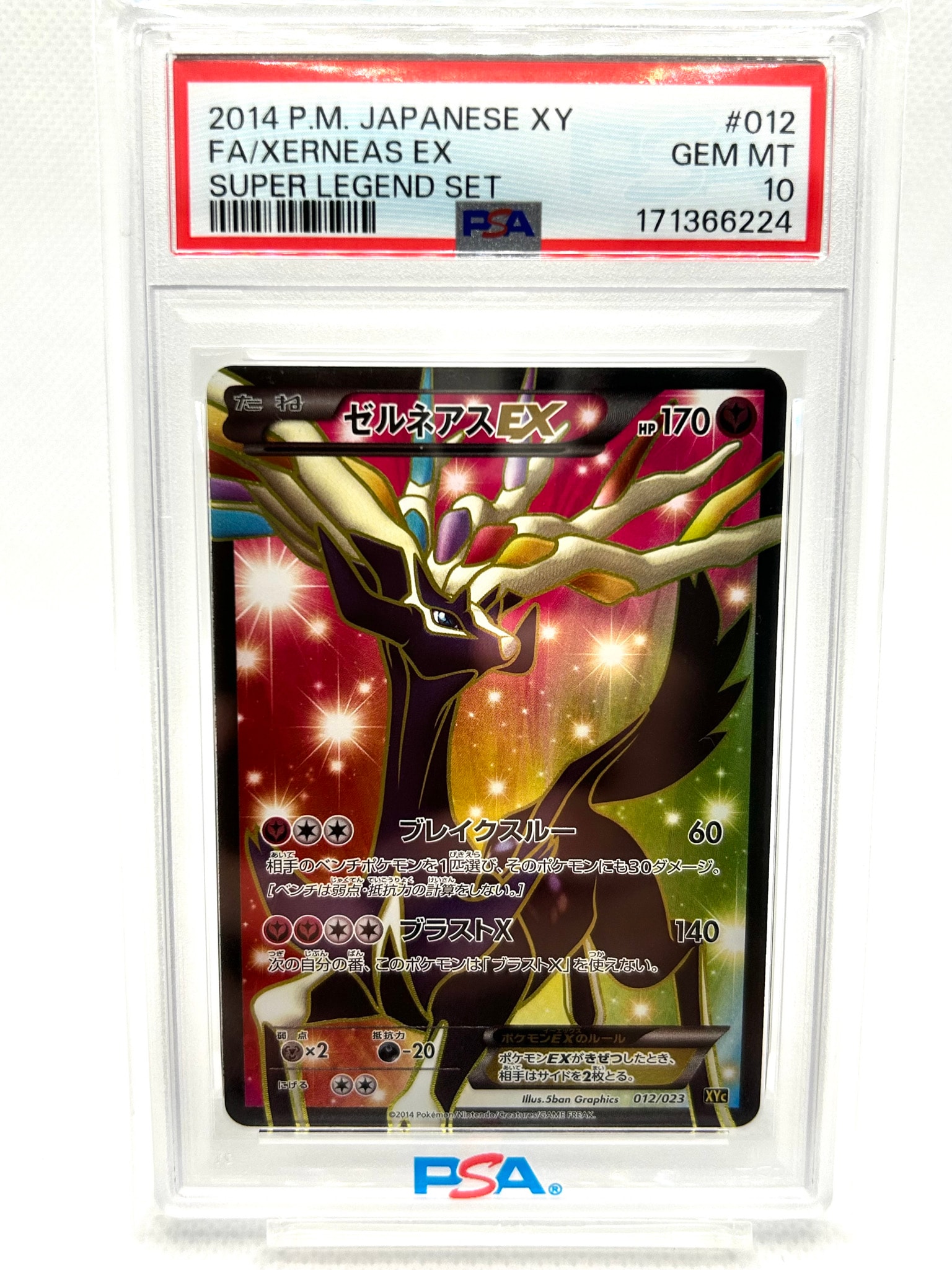 7700982.jpeg?size=m