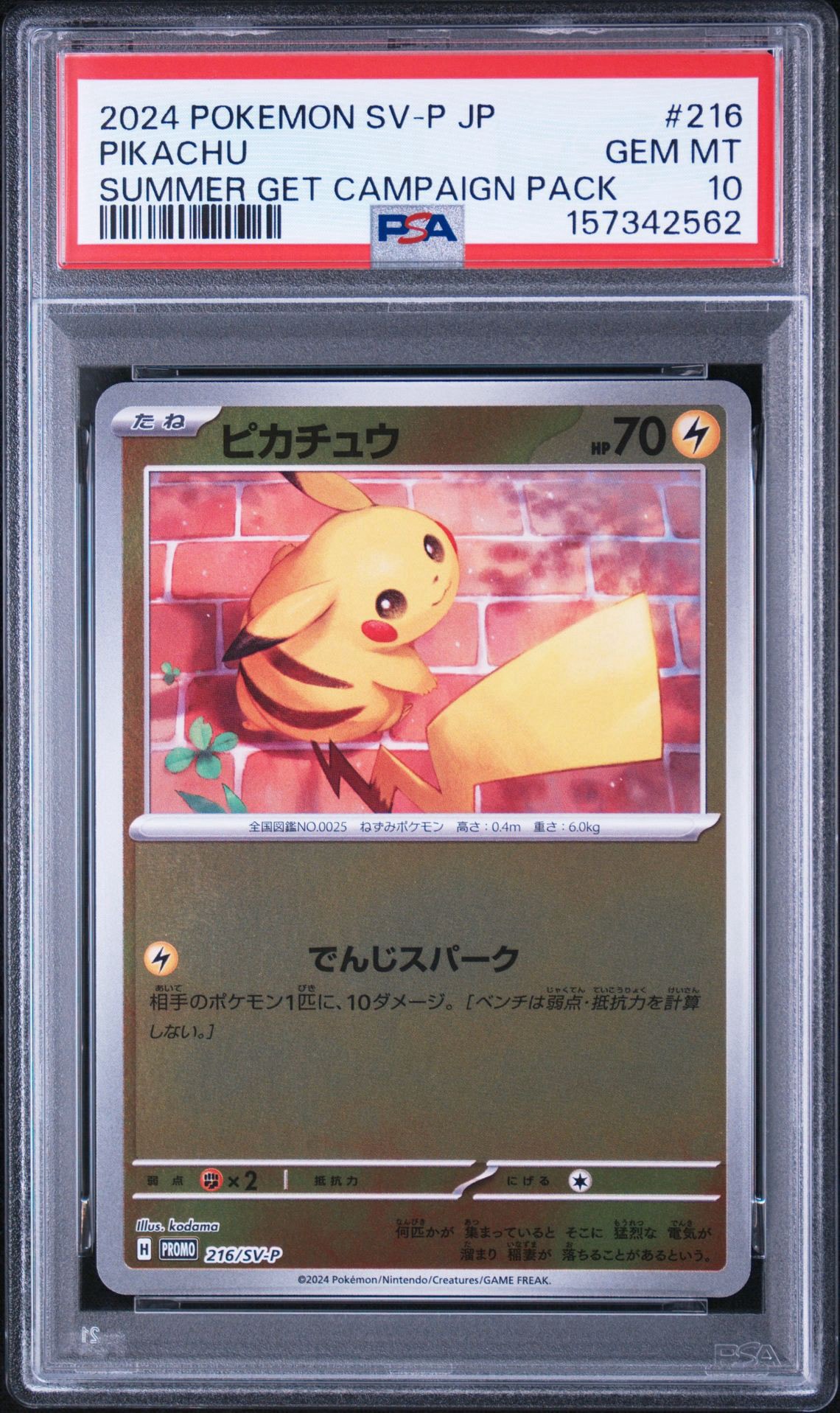 PSA10】ピカチュウ P [SV-P 216](プロモカードパック「ポケカの夏が
