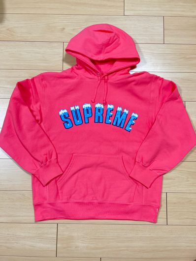 Supreme Icy Arc Hooded Sweatshirt "Bright Coral"