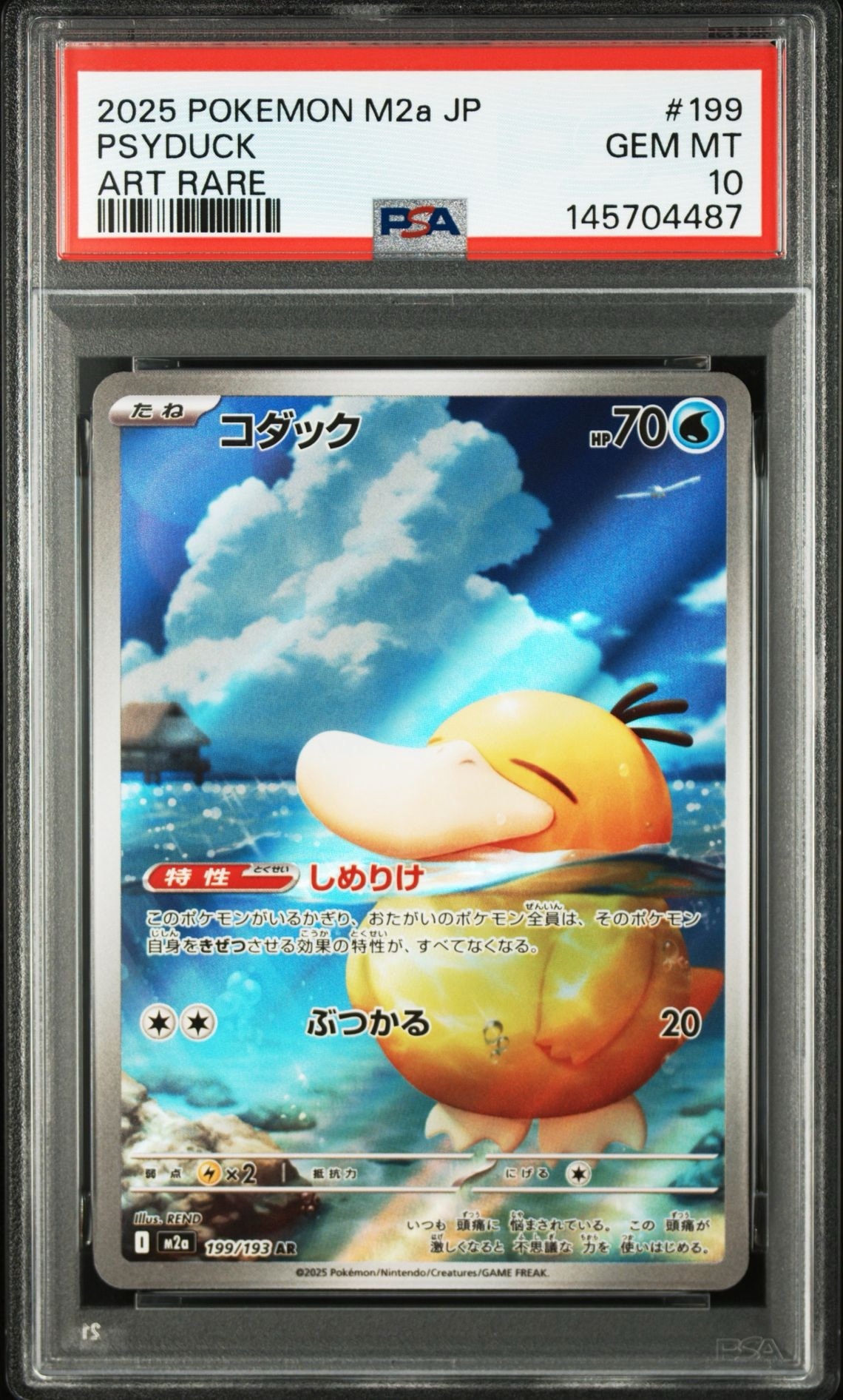 コダック AR [M2a 199/193](ハイクラスパック「MEGAドリームex」)