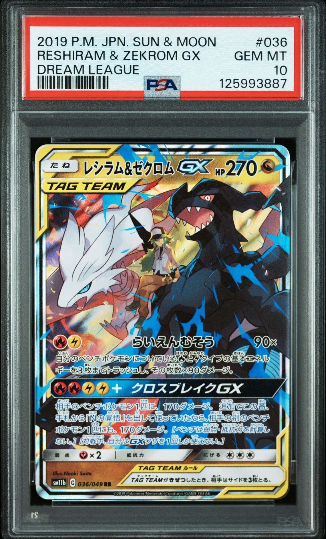 レシラム&ゼクロムGX (N) RR[SM11b 036/049](強化拡張パック「ドリームリーグ」)