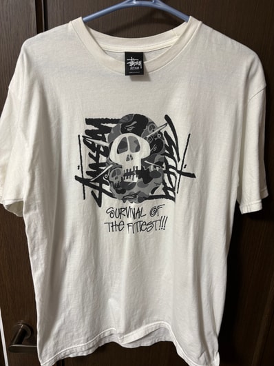 ステューシー×エイプ Tシャツ