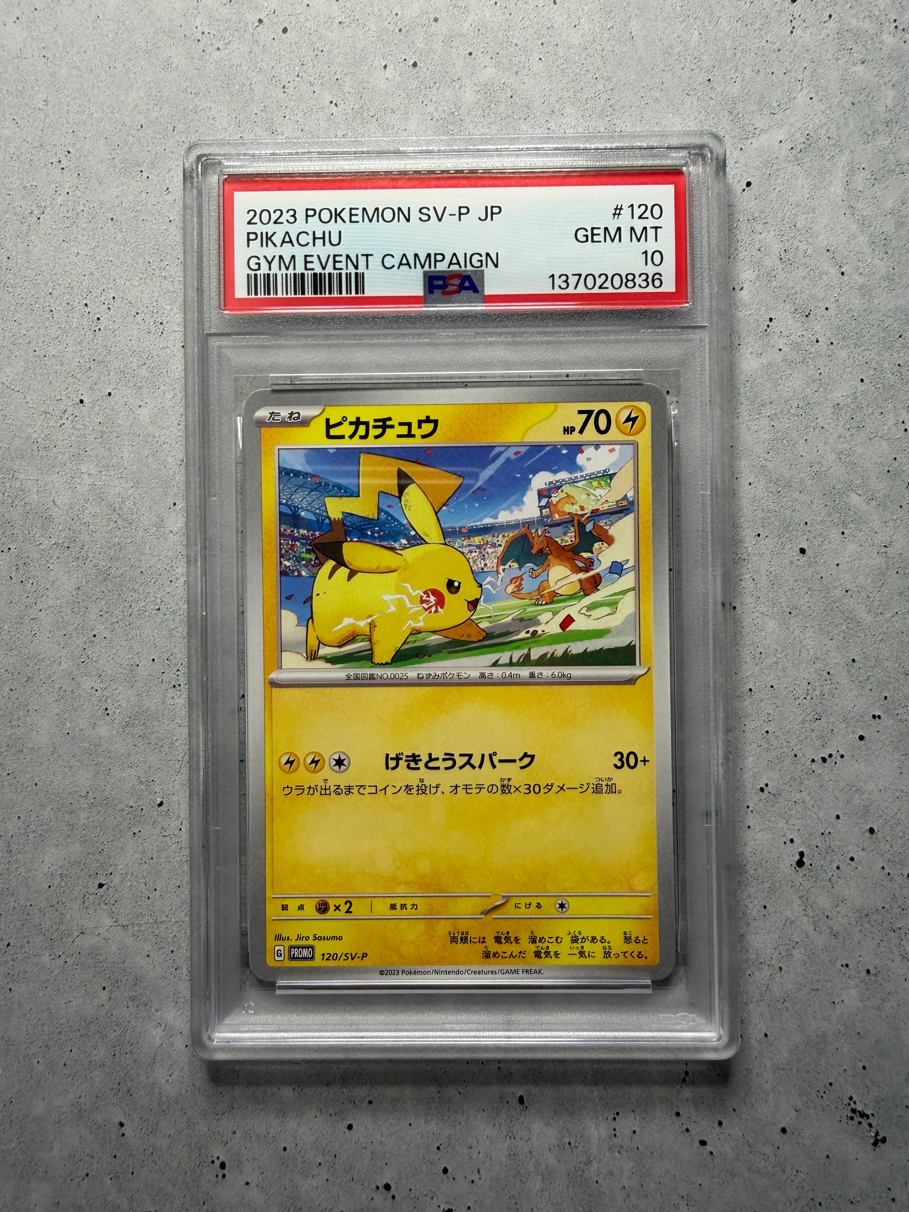 ピカチュウ: プロモ [SV-P 120](プロモーションカード「SV-P」)の新品