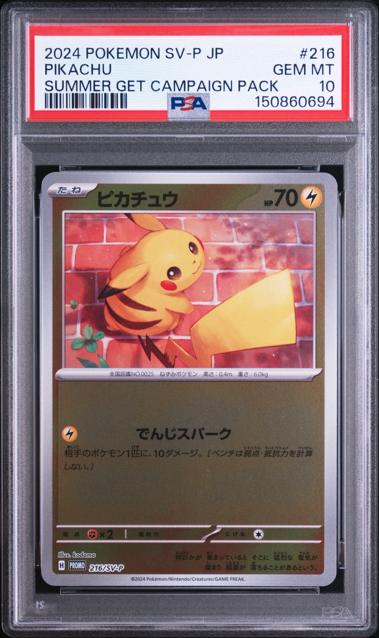 ピカチュウ P [SV-P 216](プロモカードパック「ポケカの夏がキタ