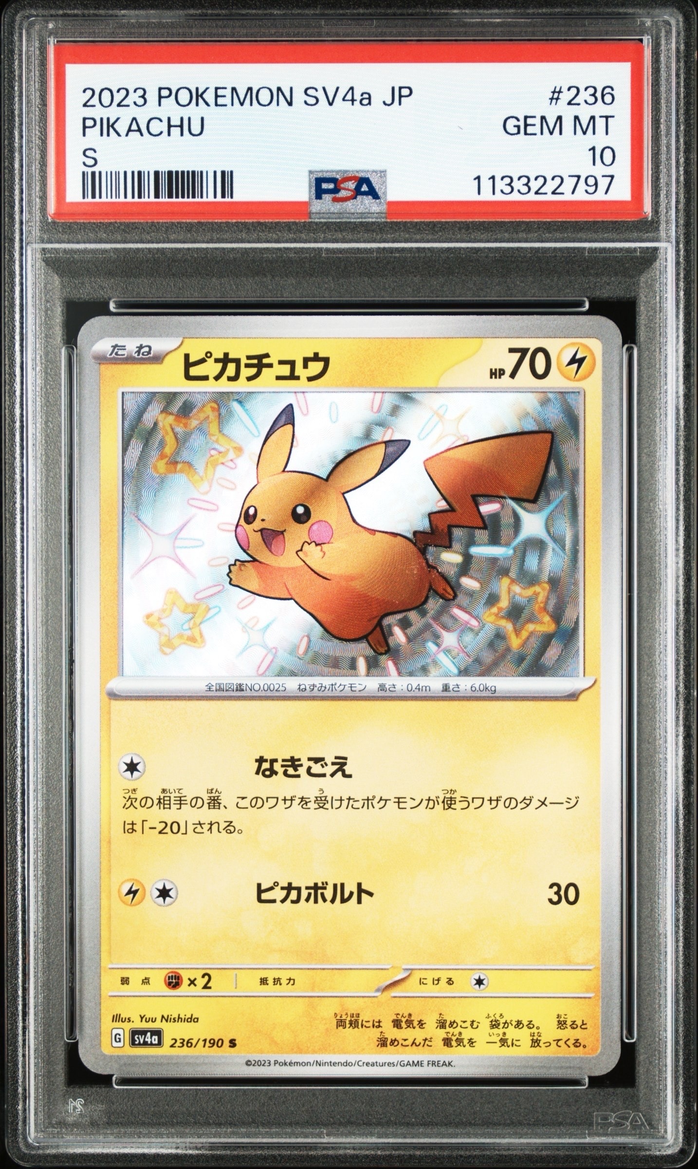 ピカチュウ: プロモ[DP-P 057/DP-P](プロモーションカード「DP-P」)の