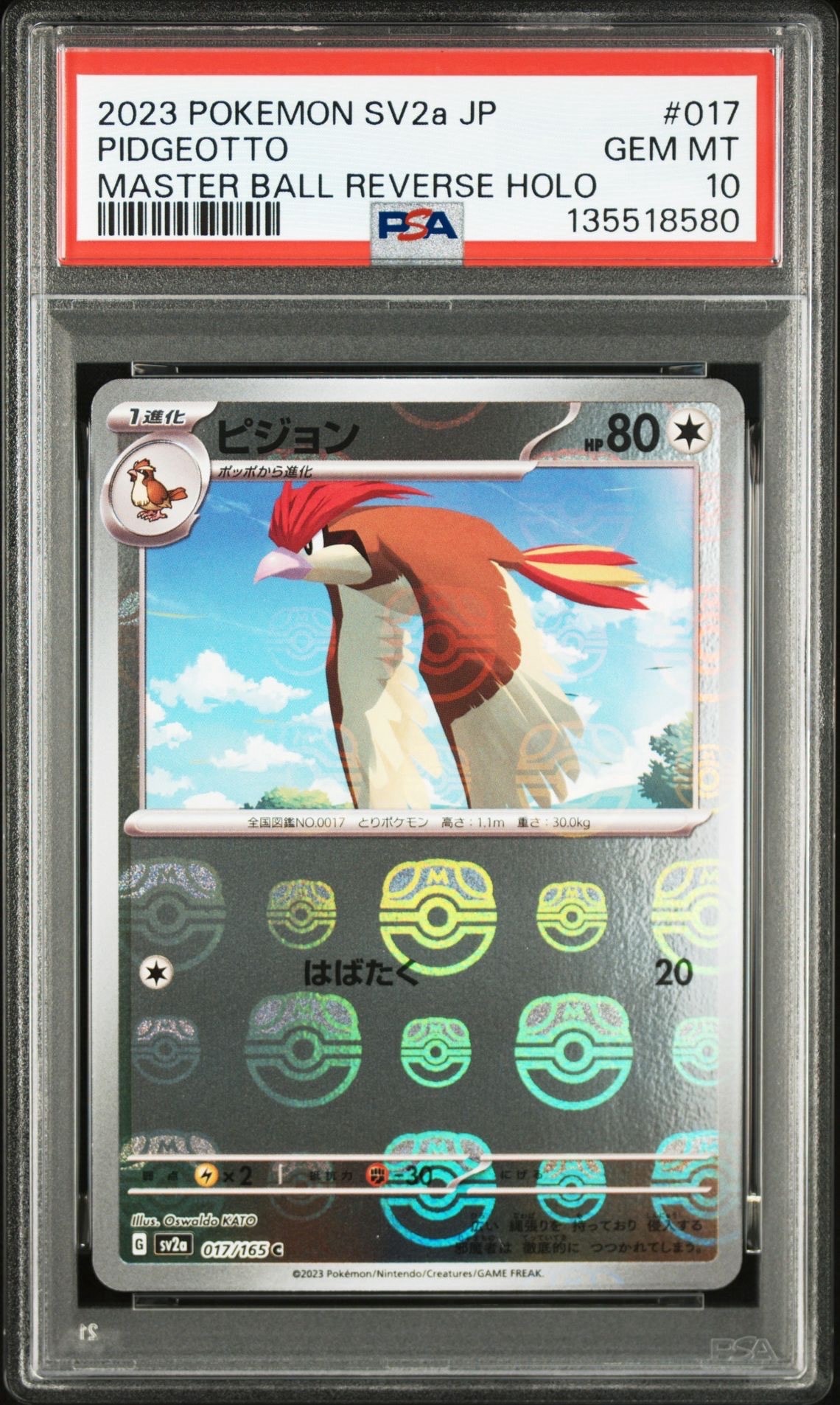 ピジョン C: マスターボールミラー[SV2a 017/165](強化拡張パック「ポケモンカード151」)