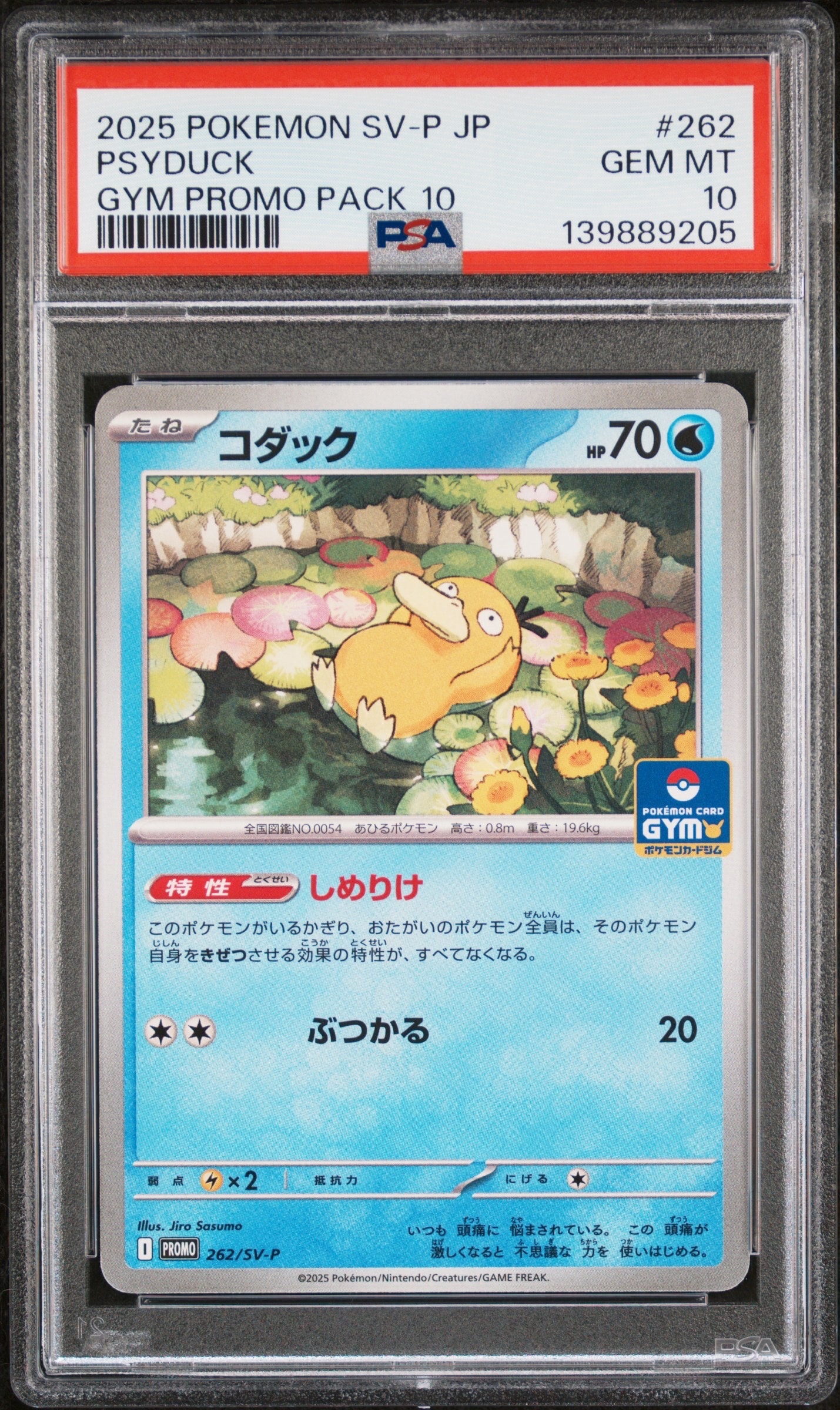 コダック P [SV-P 262](プロモ「第10弾」) PSA10 連番 状態A】コダック P [SV-P 262](プロモカードパック「第10弾」) 2枚の