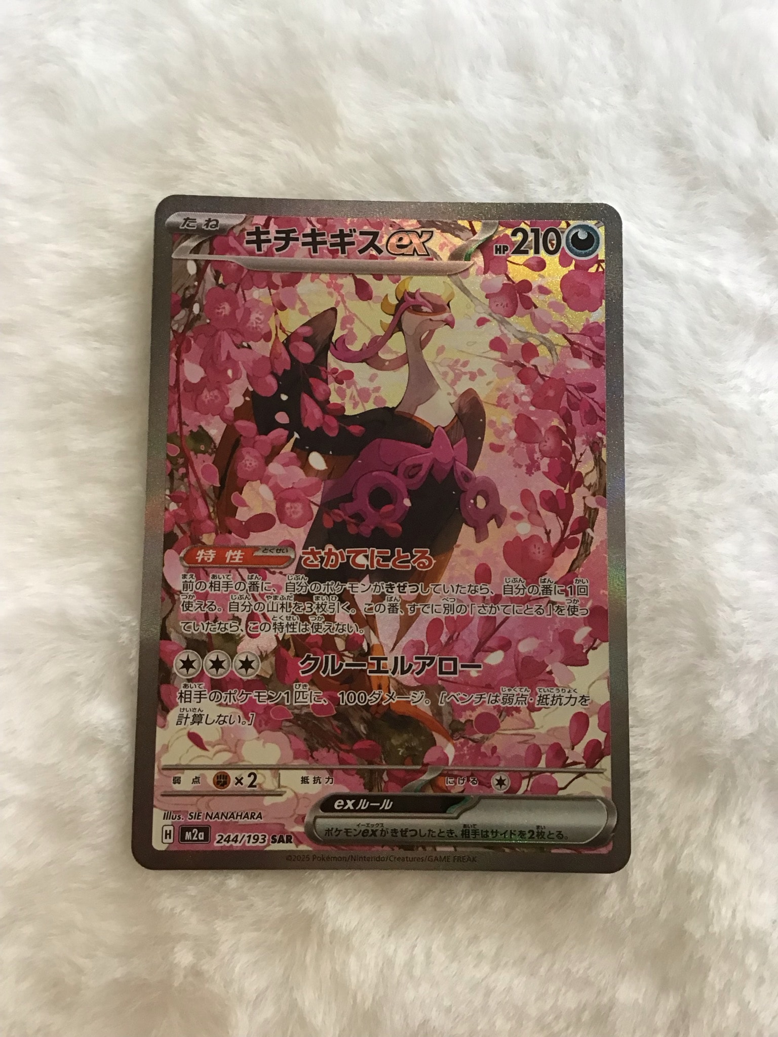 キチキギスex SAR [M2a 244/193](ハイクラスパック「MEGAドリームex