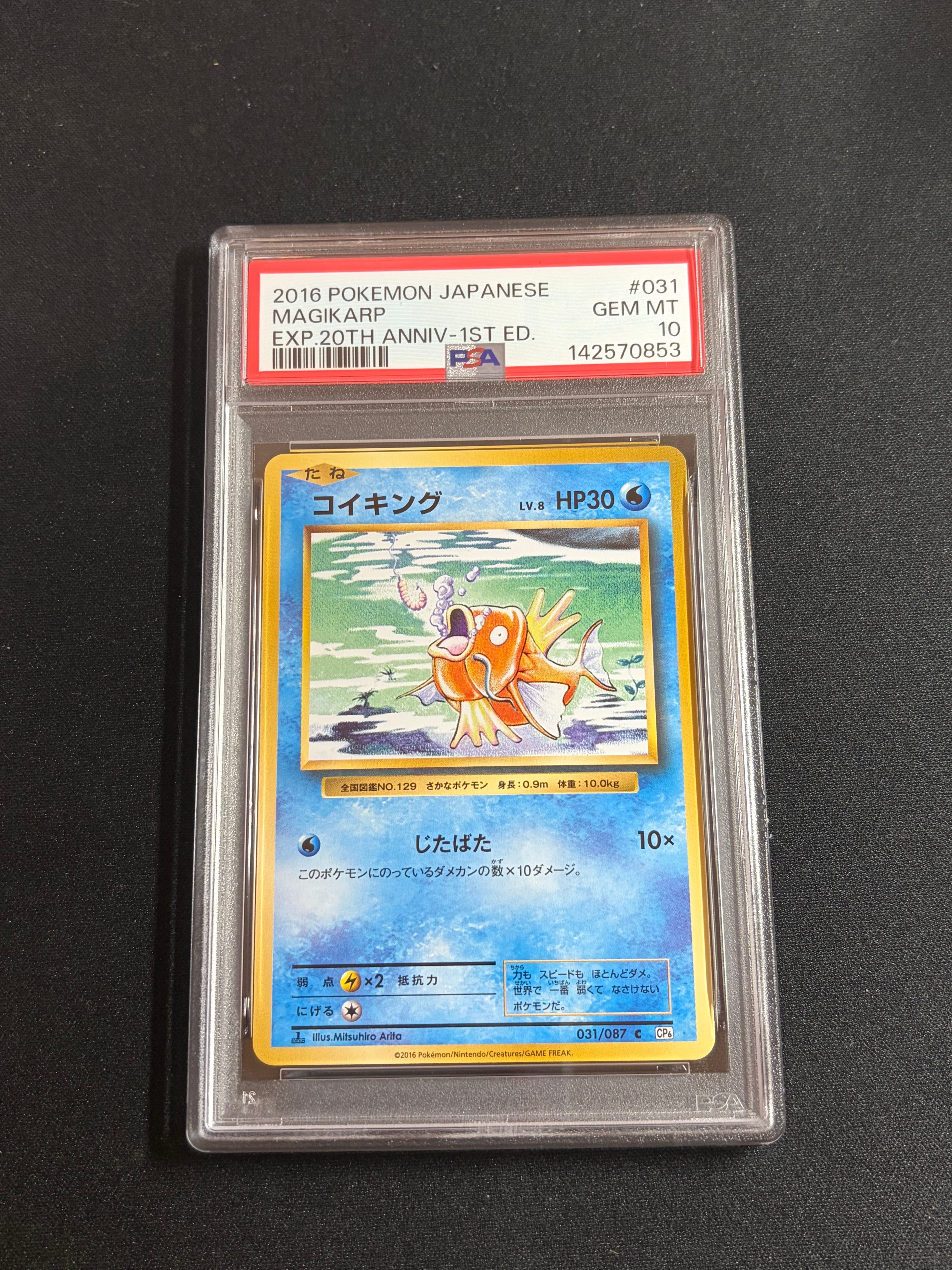 コイキング C :1ED [CP6 031/087](コンセプトパック「ポケットモンスターカードゲーム 拡張パック 20th Anniversary」)