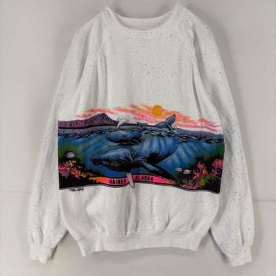 古着 80's/80年代 ヘインズ Hanes USA製 スウェット クルーネック ラグラン プリント クジラ イラスト アート L ホワイト メンズ