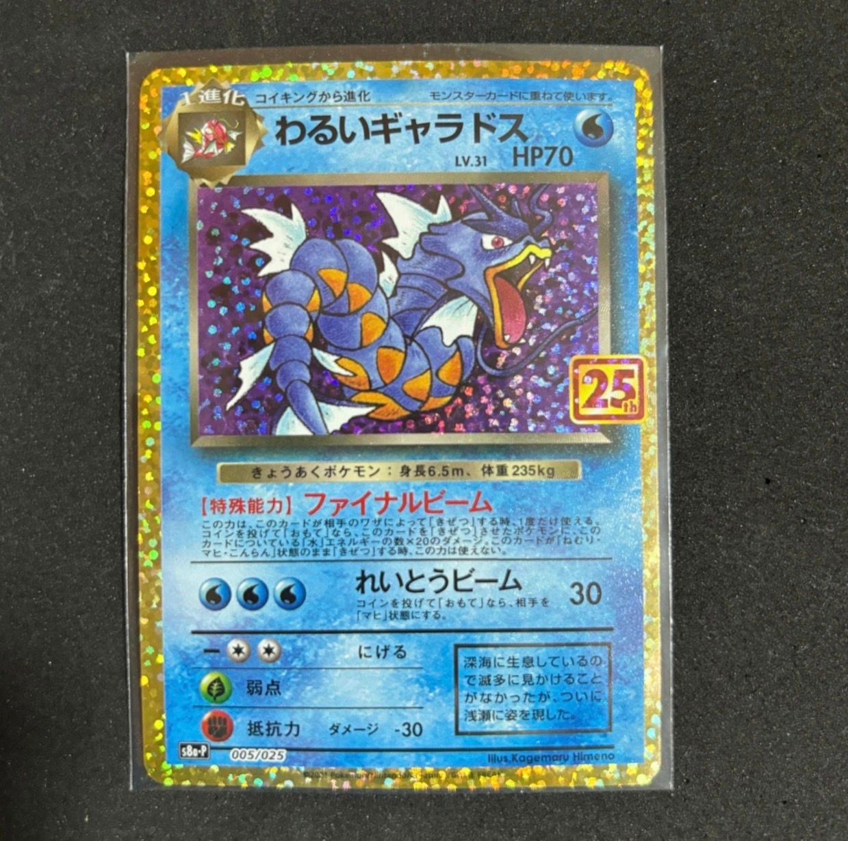 わるいギャラドス: プロモ[S8a-P 005/025](プロモカードパック 25th ANNIVERSARY edition)