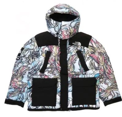 Supreme x The North Face 700-Fill Down Parka "Multicolor Dragon" NF0A82R3 / ND52206I
