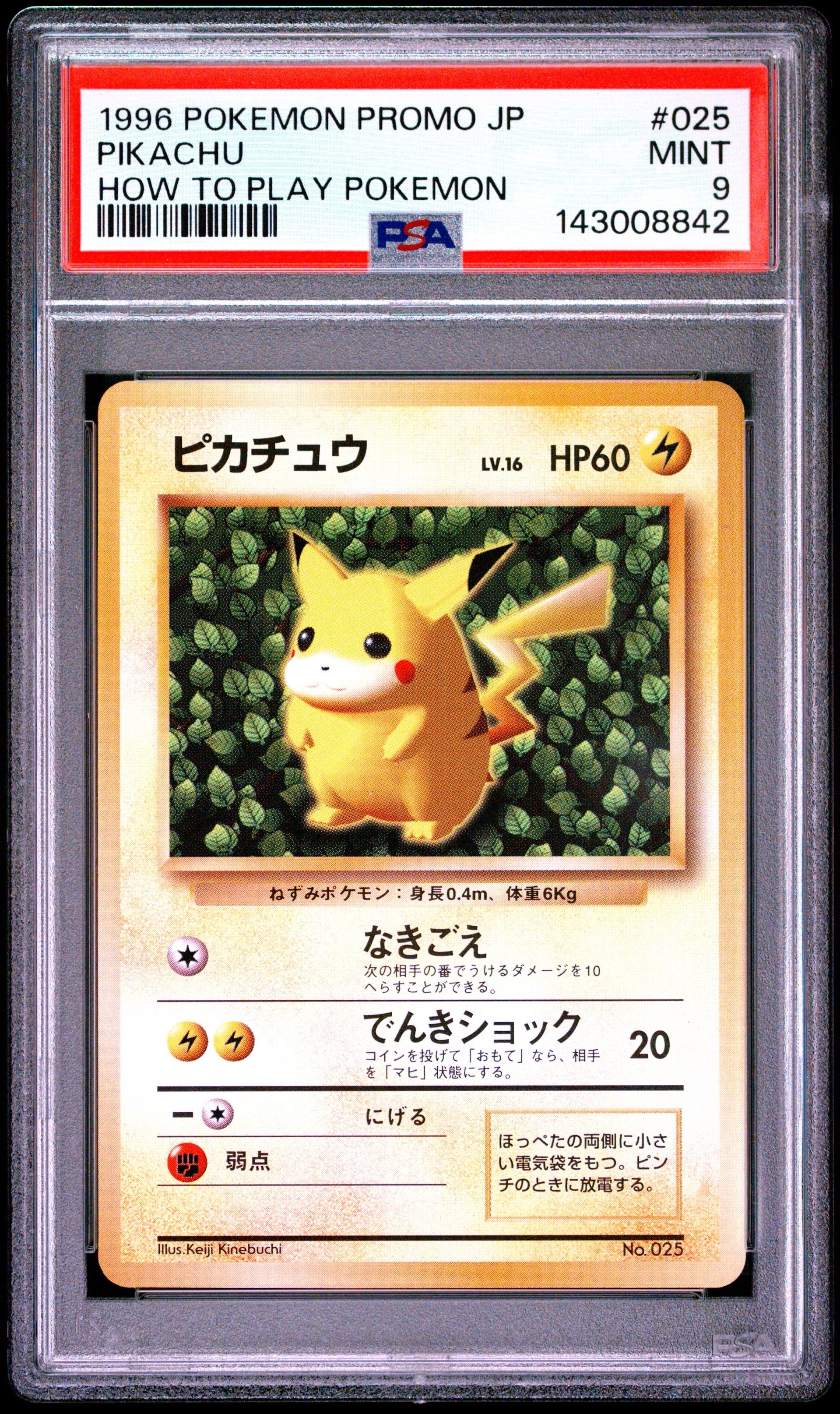 ピカチュウ P : 旧裏 (※ 光沢なし) [PMCG-P No.025](プロモーションカード「すぐわかるポケモンカードの遊びかた」)