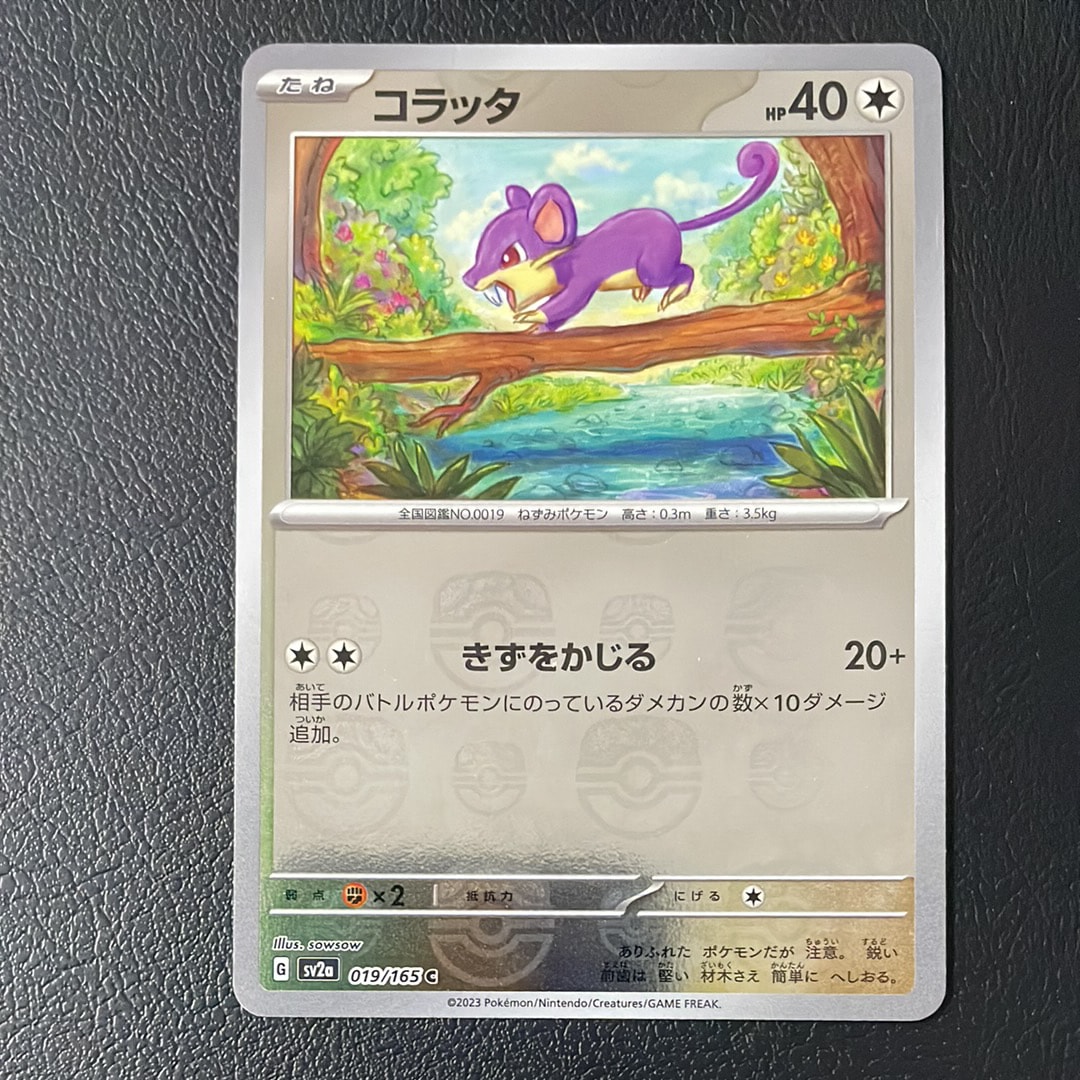 コラッタ C: マスターボールミラー[SV2a 019/165](強化拡張パック「ポケモンカード151」)