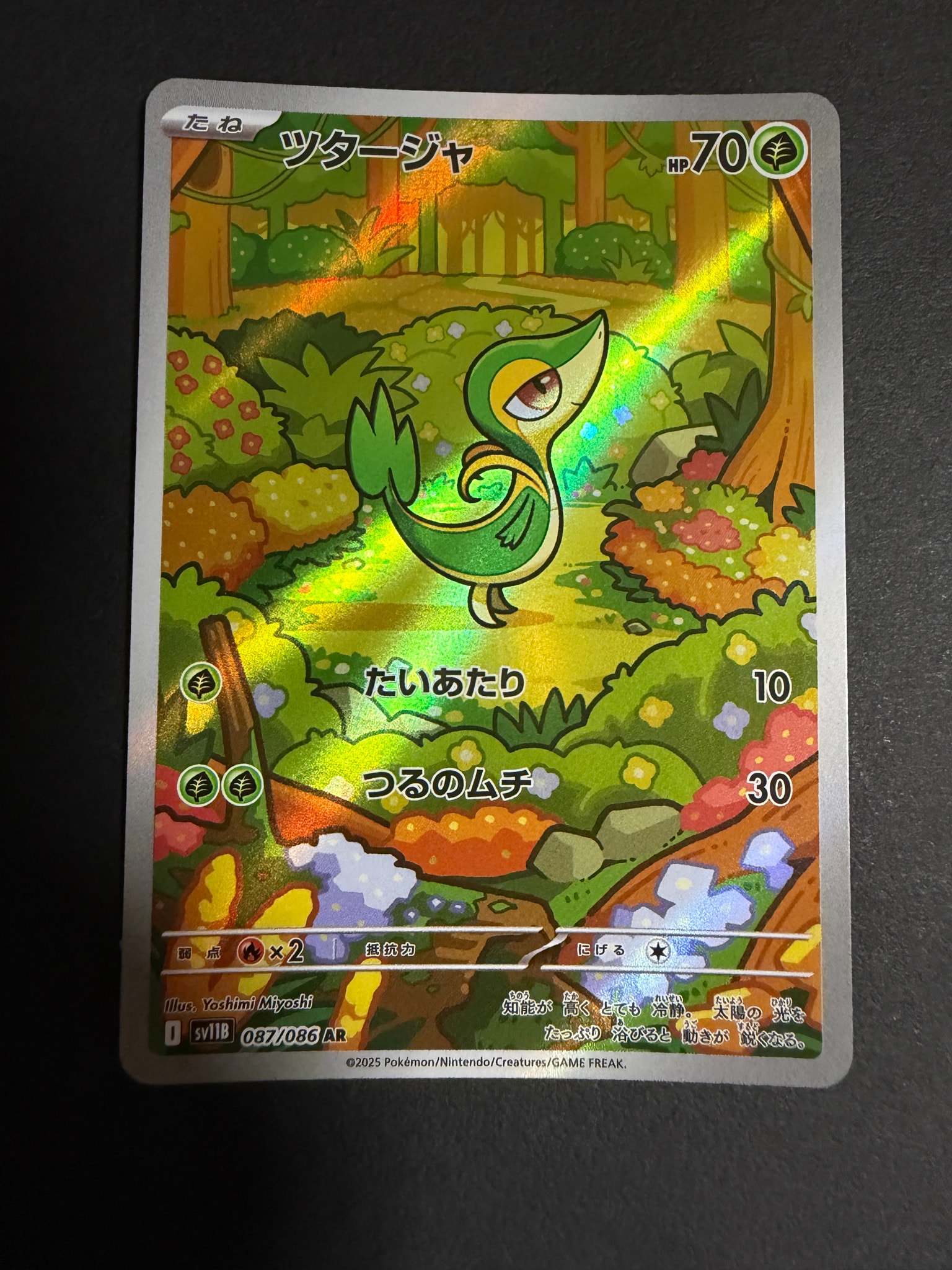 PSA10】ツタージャ AR [SV11B 087/086](拡張パック「ブラックボルト