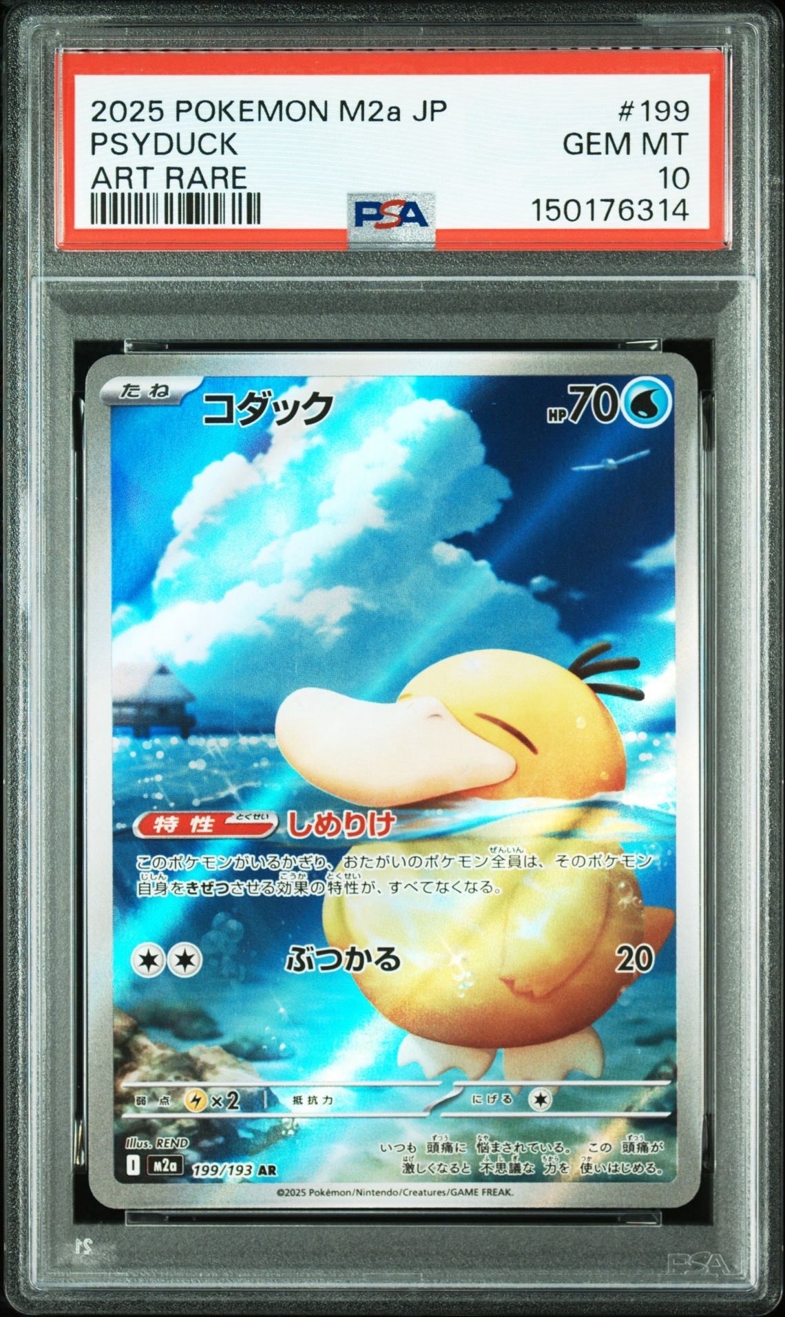 コダック AR [M2a 199/193](ハイクラスパック「MEGAドリームex」)