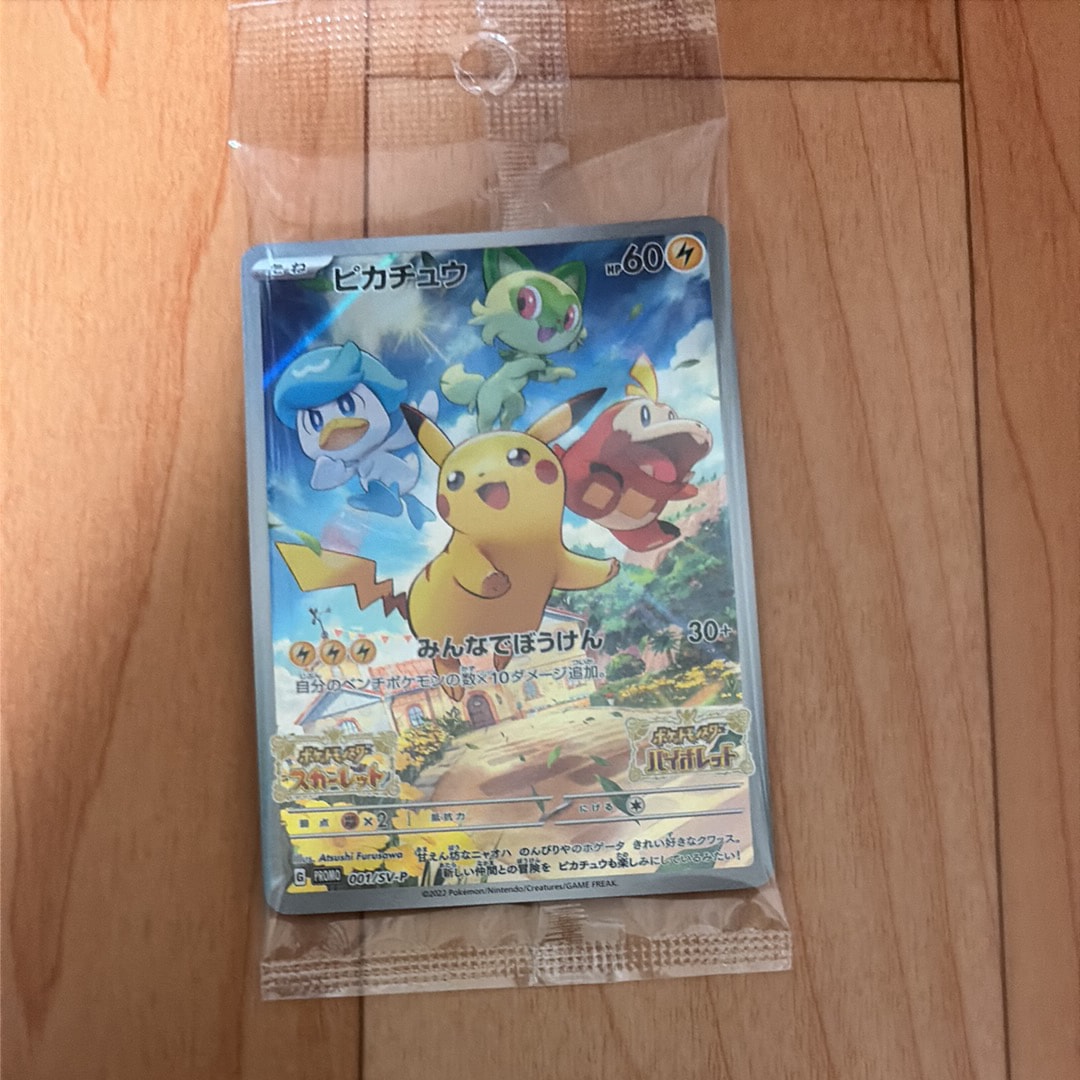 プロモ ポケモン大好きクラブ 096/PCG-P ポケモンだいすきクラブ: プロモ[PCG-P 096/PCG-P](プロモーション