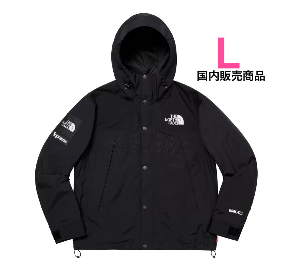 Supreme x The North Face Arc Logo Mountain Parka "Black" NP11901I / NF0A3VMM